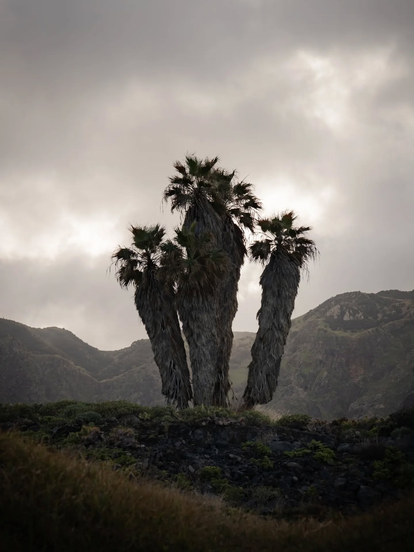 On cherche toujours le moment parfait, la lumière idéale, l'endroit sans personne. Et puis on tombe sur ça : des montagnes brutes, une lumière qui perce les nuages, des sentiers de pierre et quelques palmiers. Parfois, la réalité du paysage se suffit à elle-même, loin des sentiers battus et des filtres. C'est ça le vrai voyage : accepter ce qui est là, et juste regarder.
---
We're always looking for that perfect moment, that ideal light, that place without crowds. And then we find this: rugged mountains, light piercing the clouds, stone paths, and a few palm trees. Sometimes, the reality of the landscape is enough, far from the beaten path and filters. That's what real travel is: accepting what’s there, and just seeing.