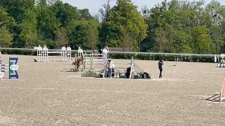 Corvette & Joconde signent chacun de belles prestations au @harasnationaldupinpolesport ce week-end 🤩
Corvette van Overis Z - 🥈 GP 1m35 et 8e 1m30
Joconde du Thot - 10e GP 1m25