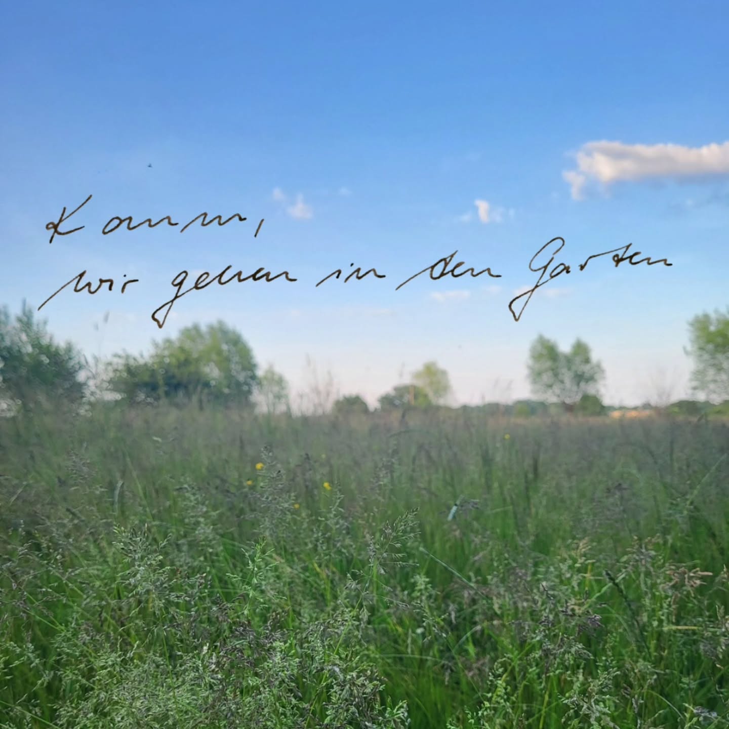Komm, wir gehen in den Garten.
Wir stellen die Füße auf die Erde,
halten die Nase in den Wind,
lauschen den Gräsern.
Mit geschlossenen Augen und offenem Herzen.
******************
Alle zwei Wochen öffne ich das Gartentor.
30 Minuten zum Ankommen, Verbinden und Spüren.
Dienstagabend
Online
#KommNachHause
#InnereReise
#AchtsamkeitImAlltag