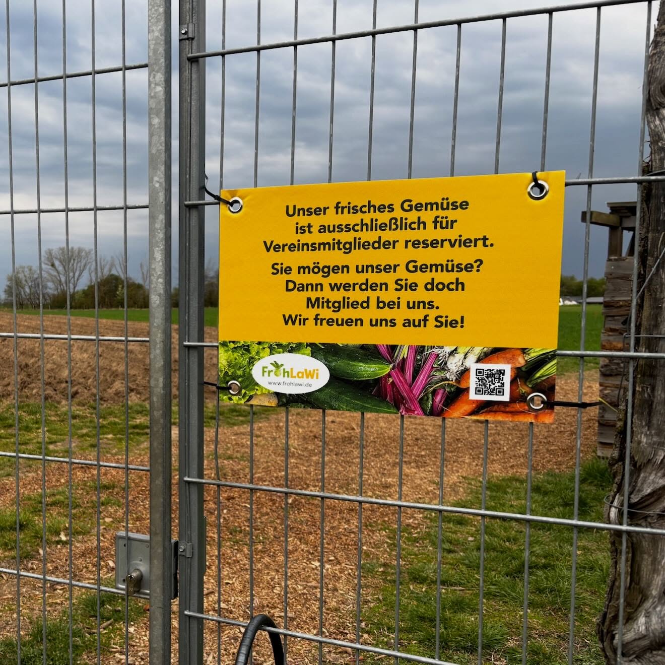 Lust auf Kohlrabi, Spinat und Pak Choi direkt vom Feld nebenan? Was auf den FrohLaWi-Feld sonst noch wächst und wer wir sind, zeigen wir bei der Führung über unser Feld am Samstag, 25. April, 12 Uhr. Vielleicht wirst auch du Teil unserer solidarischen Landwirtschaft.🧑🌾
Treffpunkt: FrohLaWi-Feld Abholstand, Stolper Feld, Nähe Invalidensiedlung, Anmeldung nicht erforderlich.