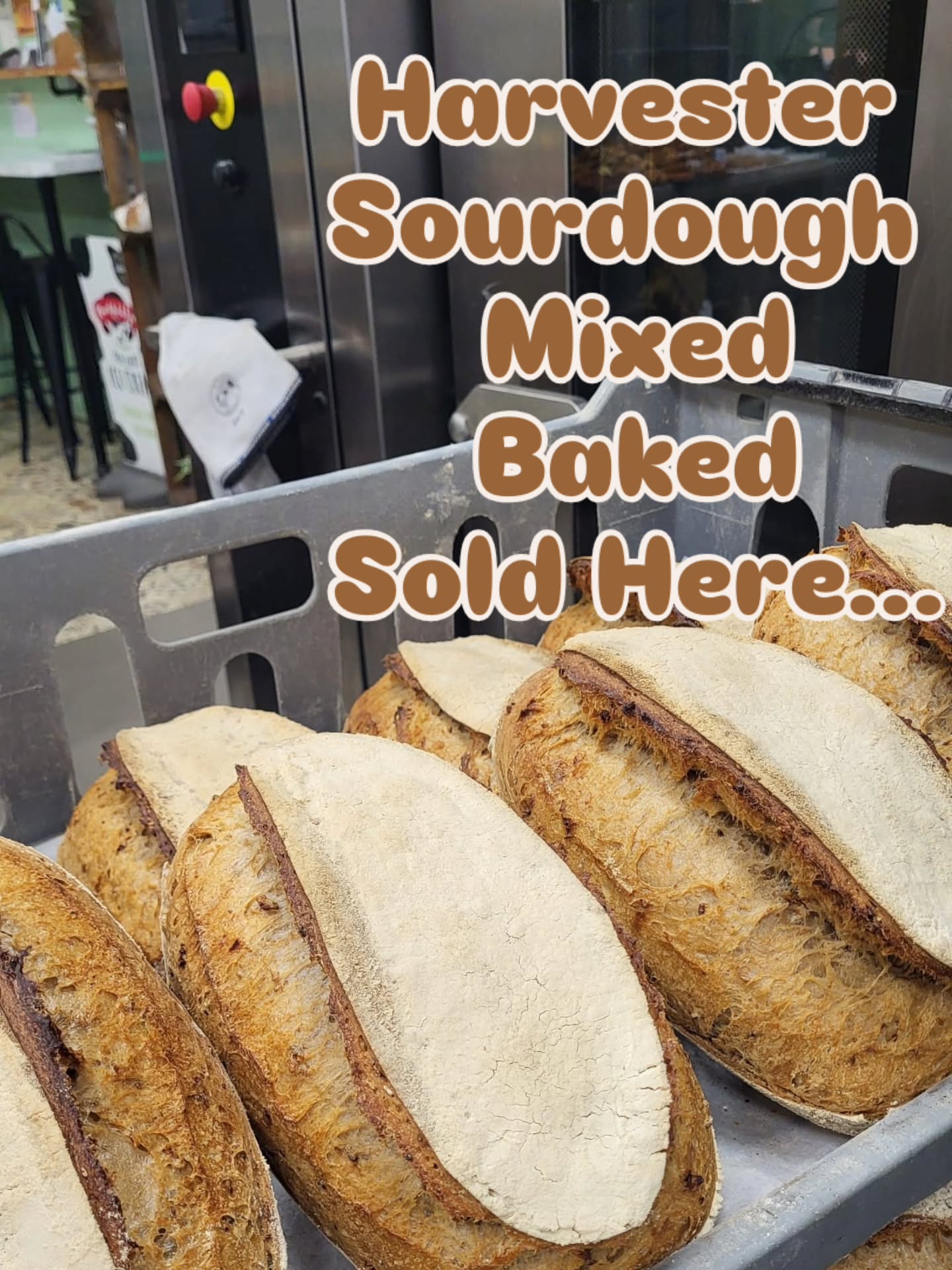 Have you tried the new sourdough... its a Saturday special... harvester Sourdough... #artisanbakery #suportlocal #realsourdough #madefromscratchwithlove❤️ #familybakery