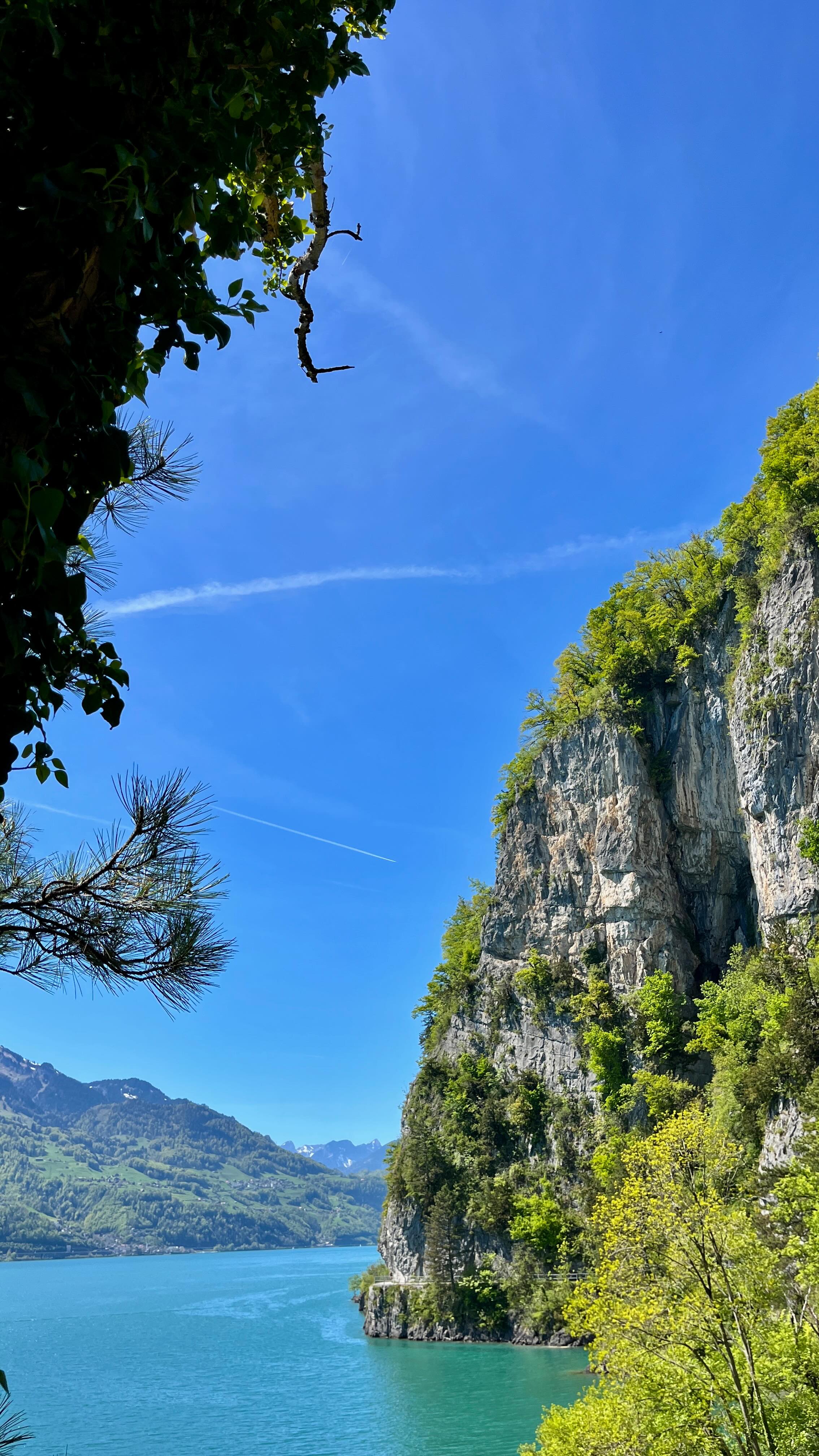 Wandern und Freundschaft tut der Seele gut 🤍
#mentalegesundheitfördern #autismus #adhs #neurodivergenz #walenseeregion