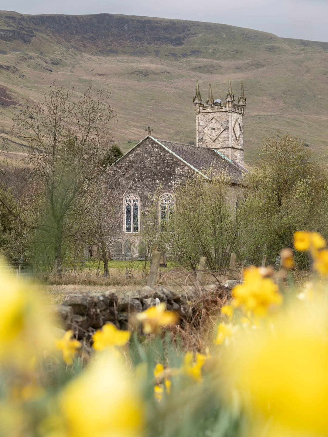 F I N T R Y
The lovely Fintry Kirk built back in 1823
🏴
.
.
.
#scotland #travelphotography #travelblogger #lamdscapephotography #instagood