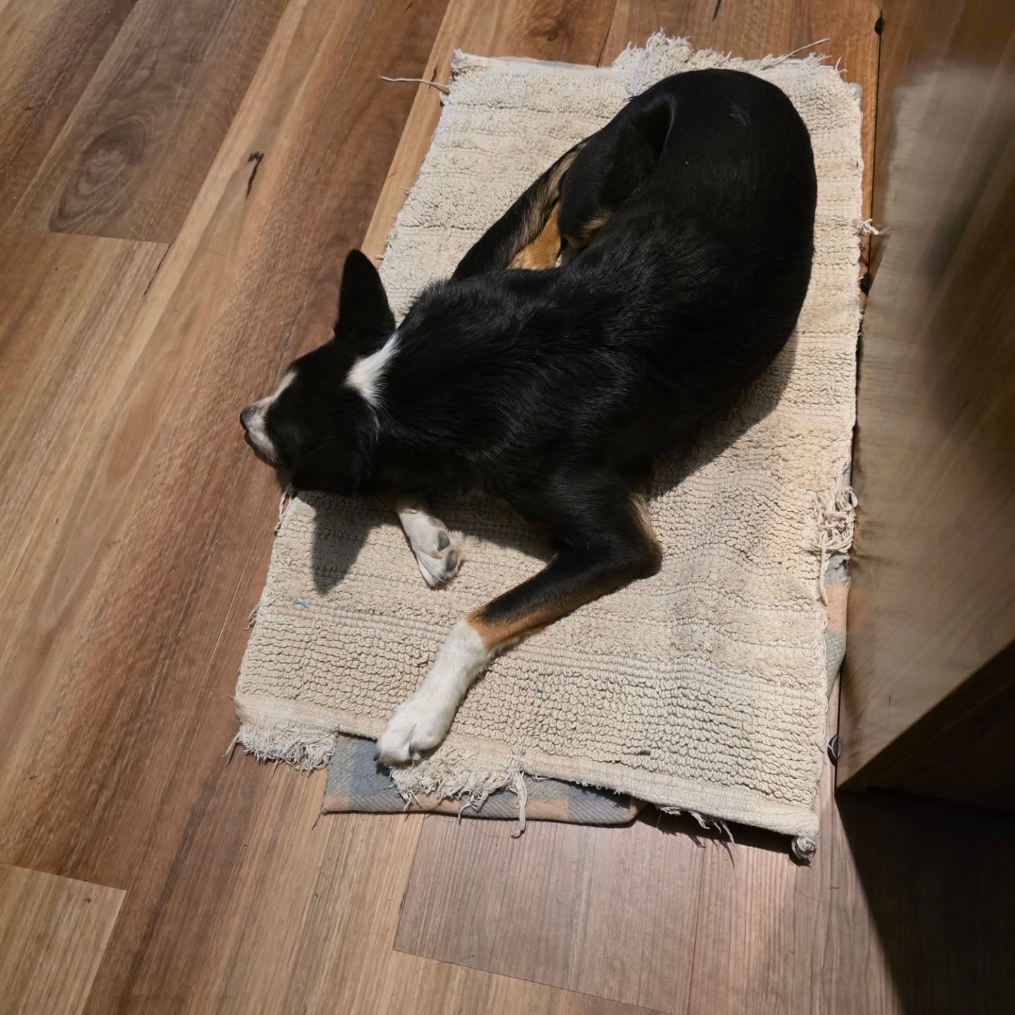 Gundarma gets a comfy spot too.