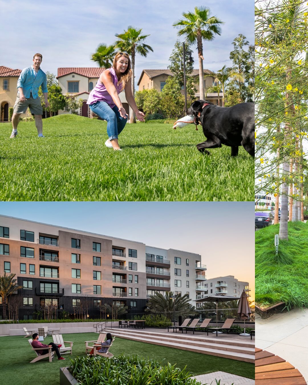 The impact of landscape architecture is felt in the places people move through, gather in, and return to every day.
From welcoming outdoor environments to spaces that support connection and long-term resilience, thoughtful design can shape daily life in meaningful ways🌿
That everyday impact is what makes the work so important.
.
.
.
#WLAM2026 #LandscapeArchitecture #LandArch #Landscape #EverydayLifeInAction ActionThroughImpact C2Collaborative