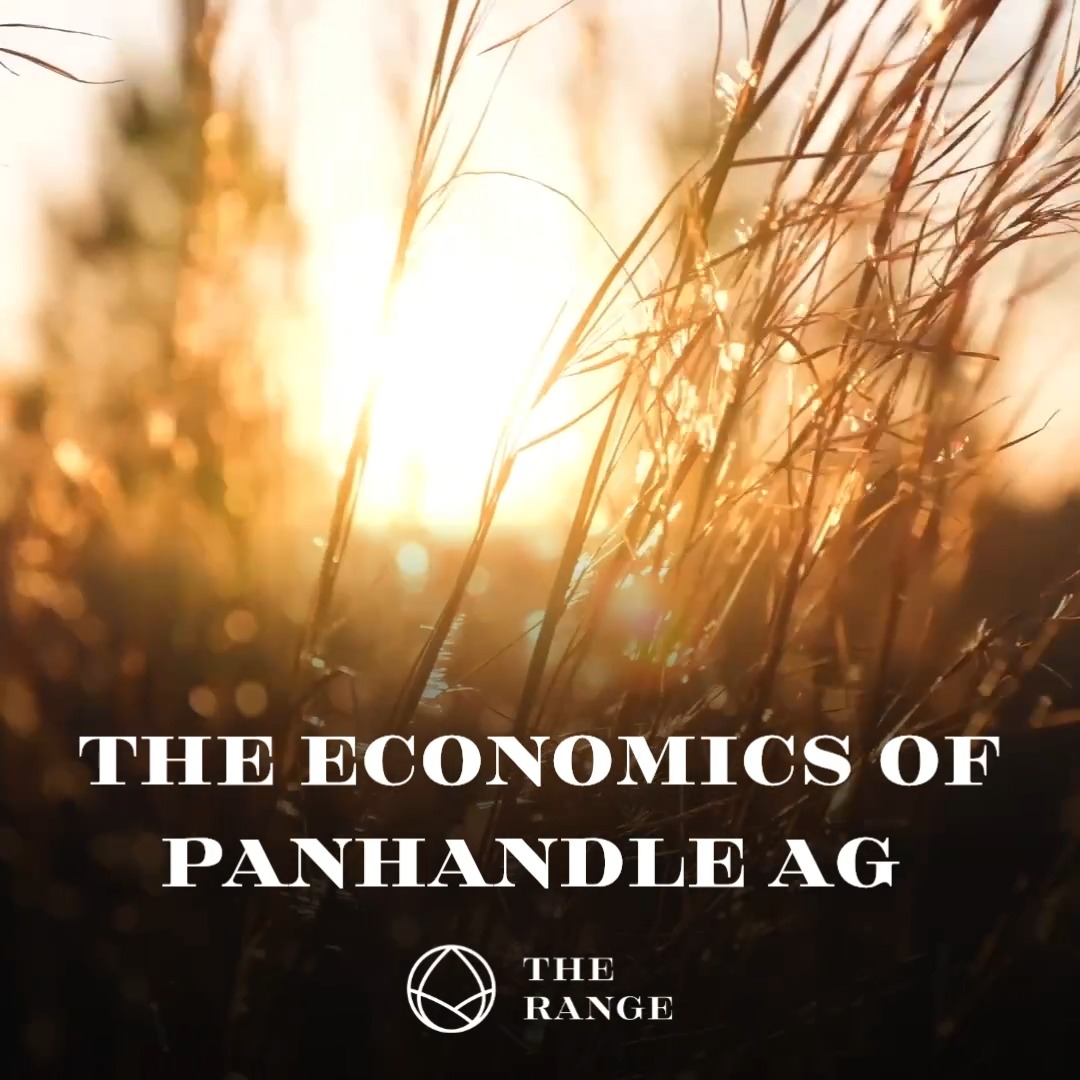What’s going on in ag in the Panhandle? According to Amarillo National Bank’s most recent economic analysis, grain and cotton prices are about where they were last year, but the lack of moisture could mean we won’t see much of a wheat crop this season. Cattle prices are still strong, up 18% over the past year. Dairy is also up around 7% since the start of the year. These trends matter here at home and will help shape how this season unfolds across the Panhandle. #TheRANGE #PanhandleAg #AgEconomy #TexasAgriculture
