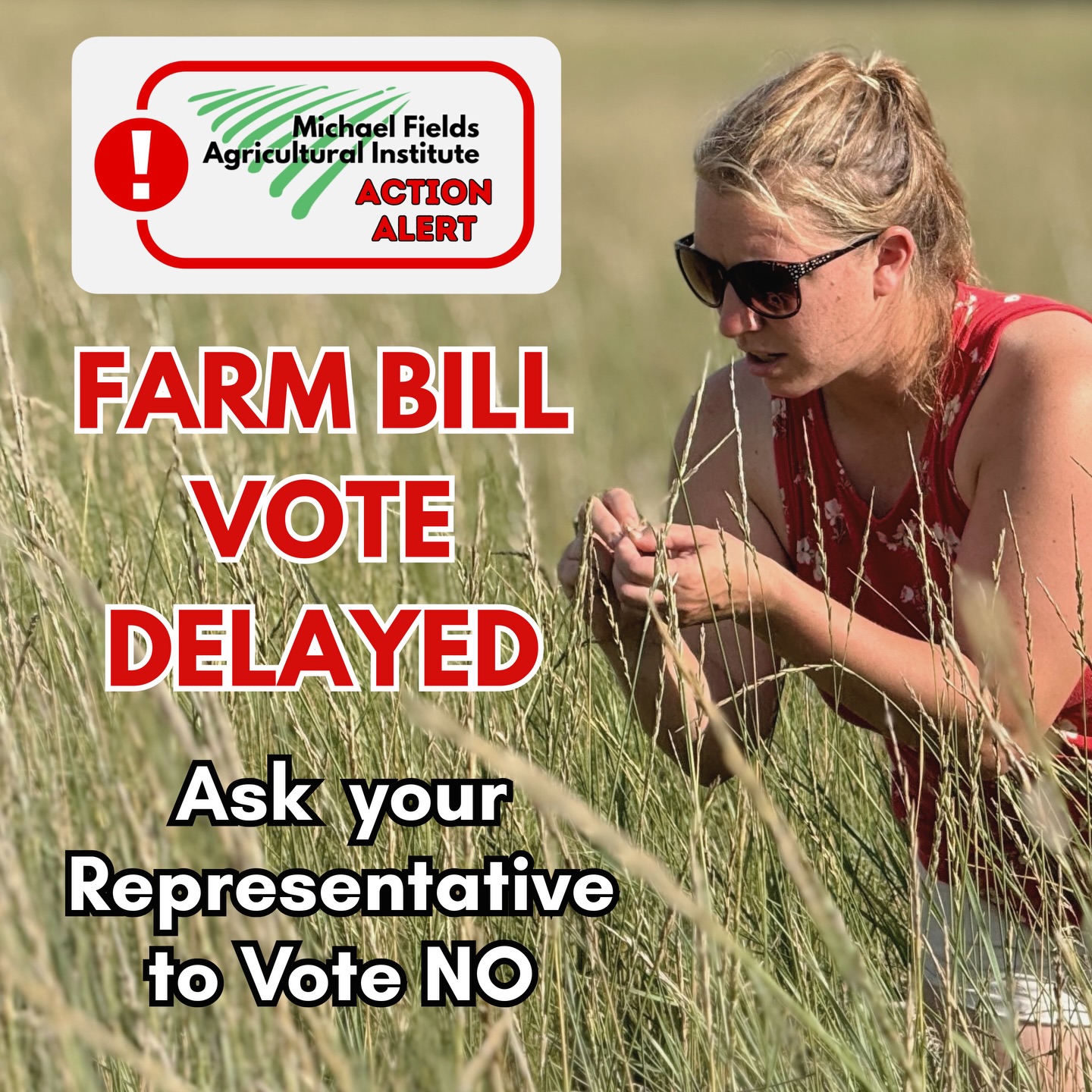 Farm Bill Alert! A vote on the House Farm Bill was just delayed until next week. Please take action in the next few days to email or call your representative and ask them to vote NO.
MFAI has signed on to a letter with several hundred other farm organizations asking Congress to do better than this proposal, which diverts money away from conservation programs, lacks a mechanism for getting American farmers’ products to those in need, and fails to support small, medium, beginning and diversified farmers. Please join us by contacting your representative.
Find talking points and links at our latest blog: michaelfields.org/blog