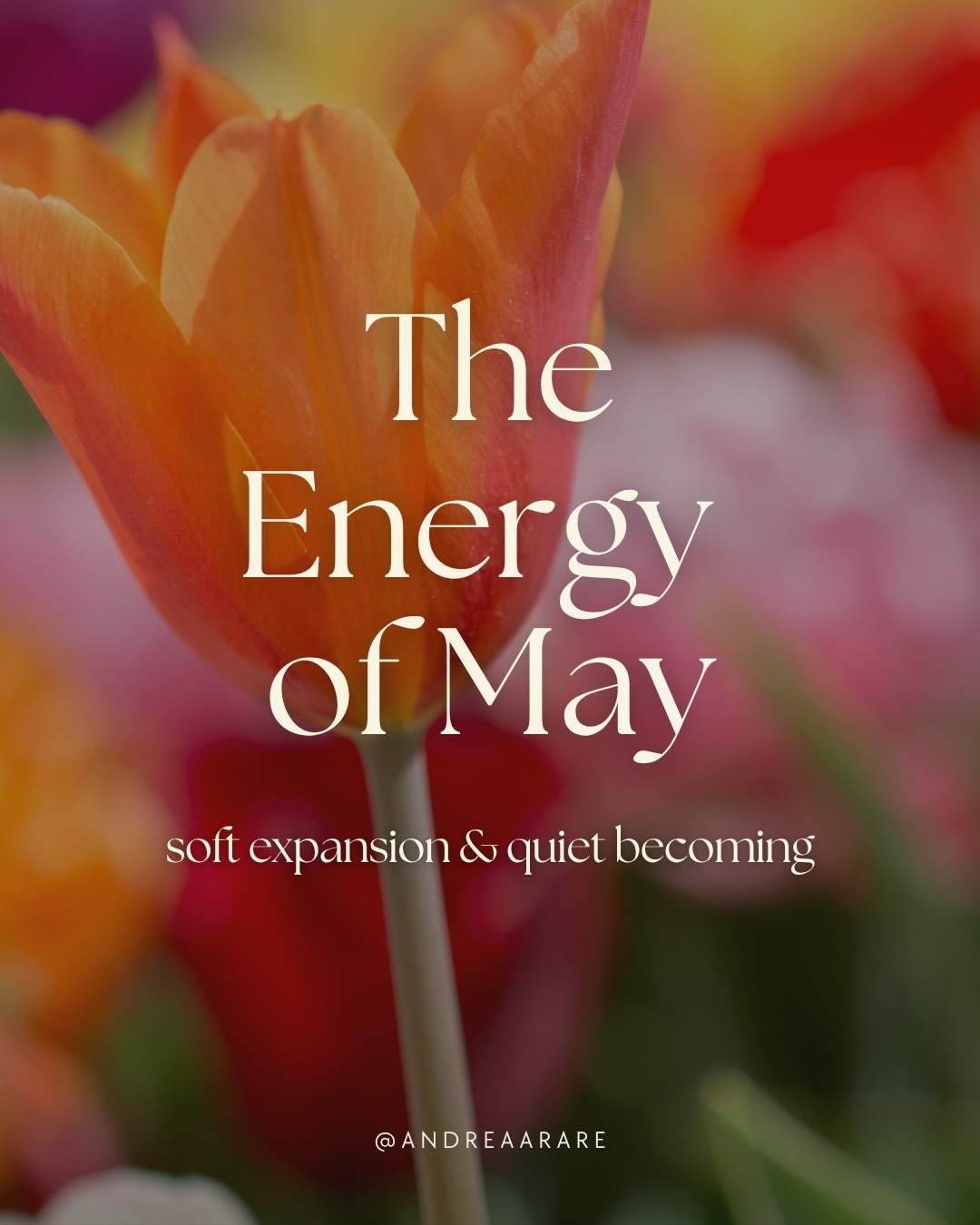May is a month of quiet expansion.
The kind that emerges.
Softly.
Gradually.
In its own rhythm.
What begins to grow now is still tender. And this is where we are often invited into a different relationship with growth.
Less force. More listening.
Less urgency. More attunement.
The body feels more. Life moves a little faster. And the invitation is not to keep up, but to stay rooted as things begin to open.
There is no need to rush what is already unfolding.
Swipe ➡️ to learn more about this month 🌿
#may #wheeloftheyear #cyclicalliving