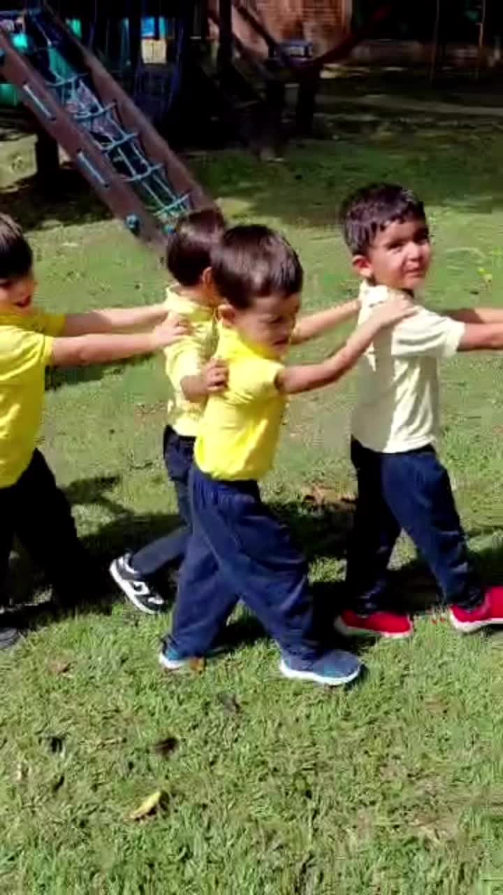 40 años cultivando el futuro 🏫🌿
Desde 1983, en el Centro Infantil Vizcaya trabajamos bajo una premisa fundamental: el fortalecimiento de los valores.
Nuestra misión es brindar una educación que permita a los niños desenvolverse con responsabilidad y respeto en el mundo que les rodea.
¿Qué nos define?
Respeto profundo por el ritmo de aprendizaje de cada niño y sus emociones.
Autonomía como base de la libertad y el descubrimiento.
Vínculo humano, conectando con la naturaleza y su comunidad.
Preparamos a nuestros pequeños para el éxito en la primaria, pero sobre todo, para la vida.
¡Bienvenidos a su primer colegio! 🍎
Queremos compartir con ustedes más de nuestro proyecto educativo vivencial, experiencial, sensorial y significativo.