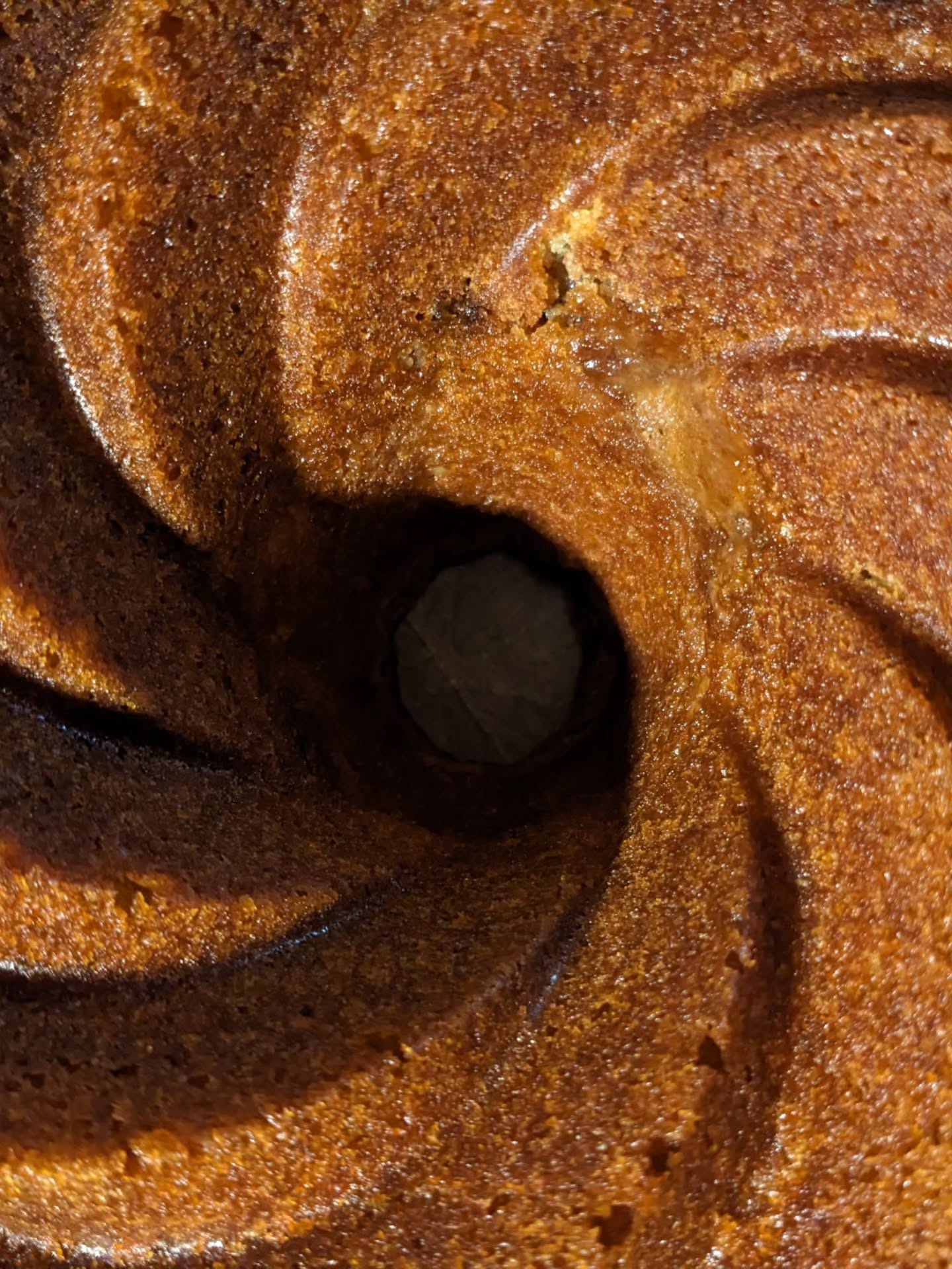 だいたいいつもいる子
定番ケーキになりつつある
sour cream coffee cake
#北比良 #nothingfancystyle #americansweets #americansize #型が美しい