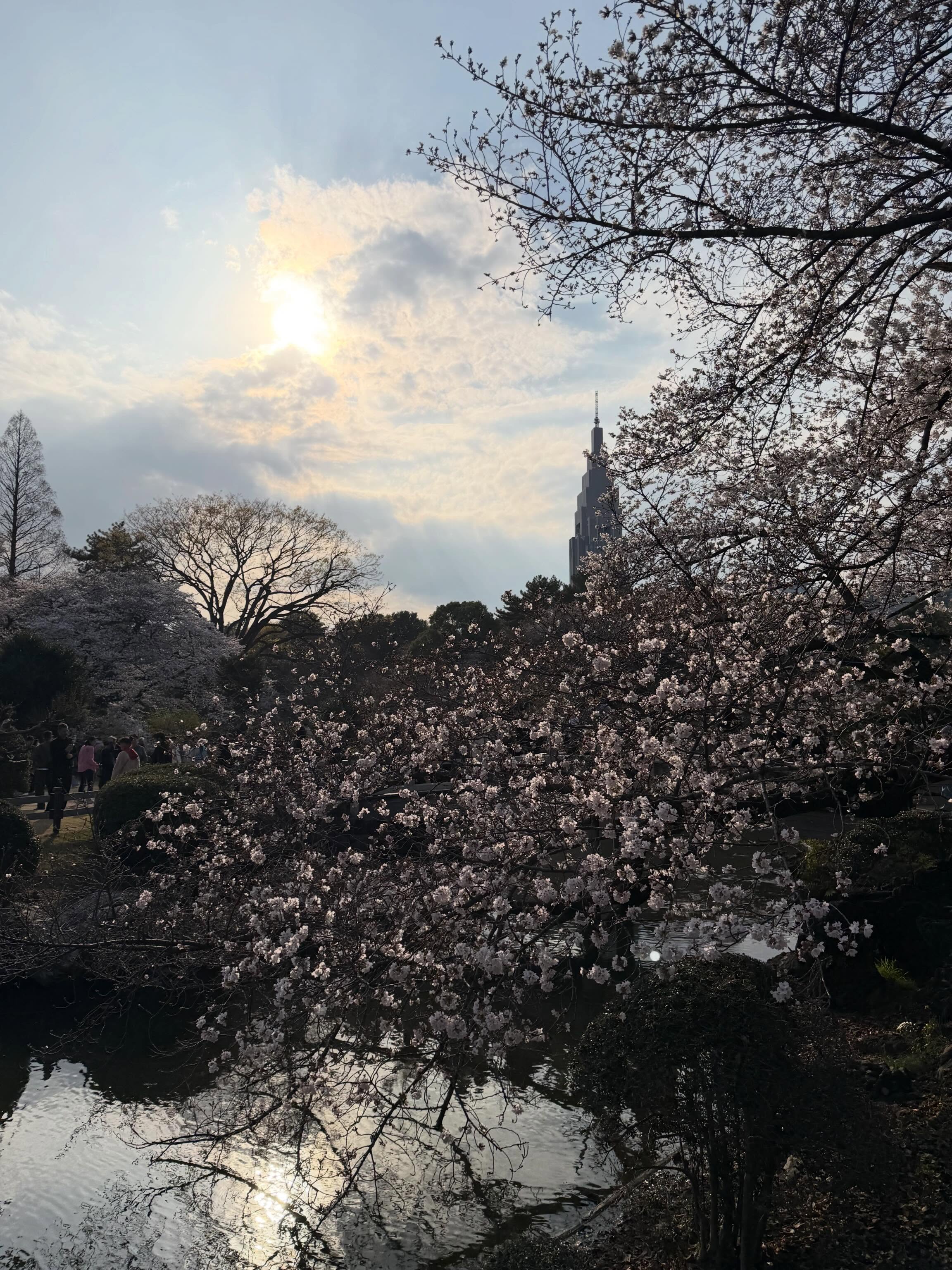 Sinon, je vis au Japon depuis 2015 🤡
Mots-clés : vie d’autrice - saga française - thriller fantastique - sfff - le bureau des âmes - et on oublie pas le Japon !
Hashtags : #autrice #bookstagramfr #vivreaujapon #ecriture #viedauteur