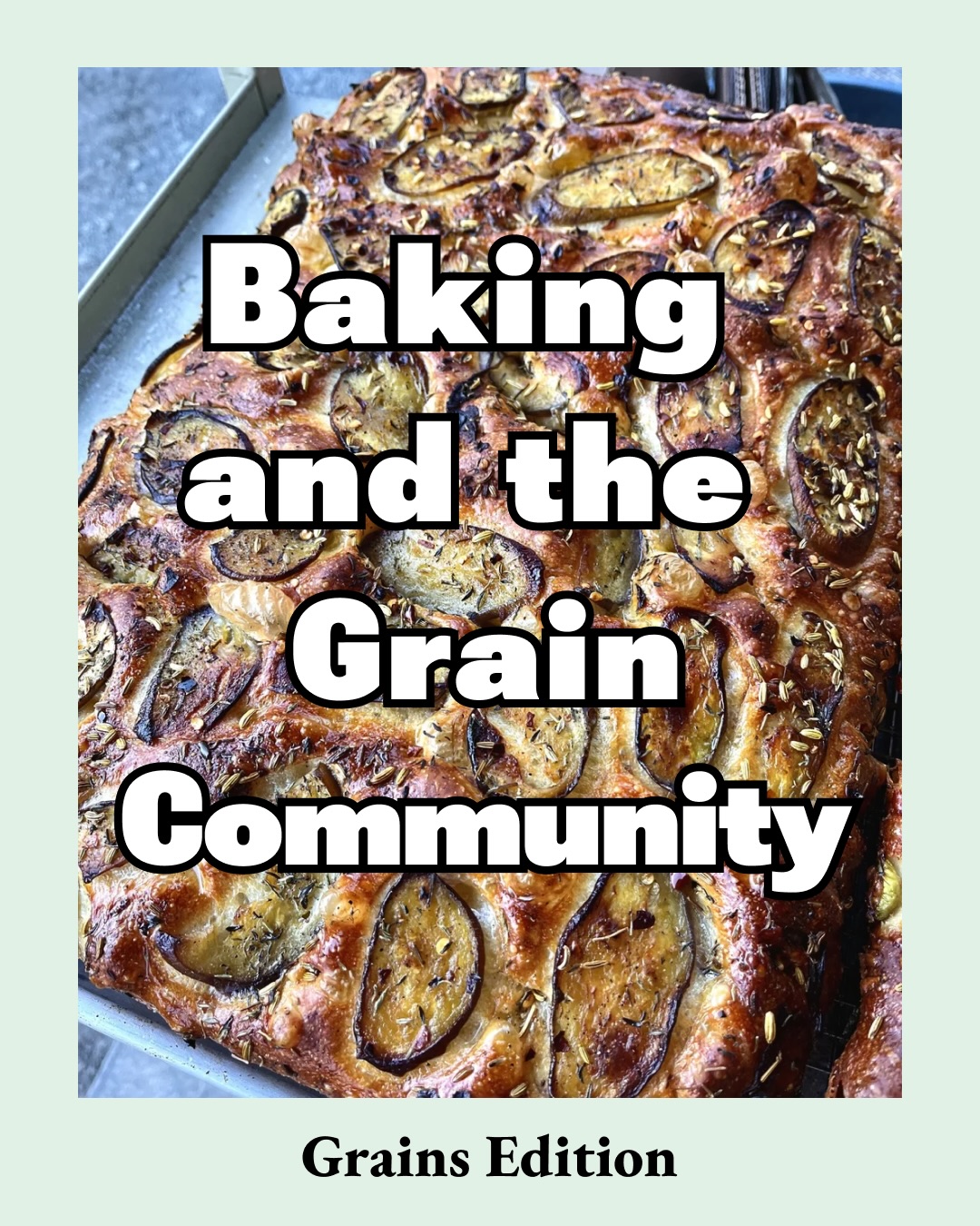 Thank you @wideawakebakery @farmergroundflour and @oechsnerfarms for your collective work bringing the grain community together
We bake for love and we need (knead) each other more than ever.
Recent article in @the_natural_farmer written by Stef Senders
.
.
.
#NOFA #grain #organicfarming #bread #breadmaking