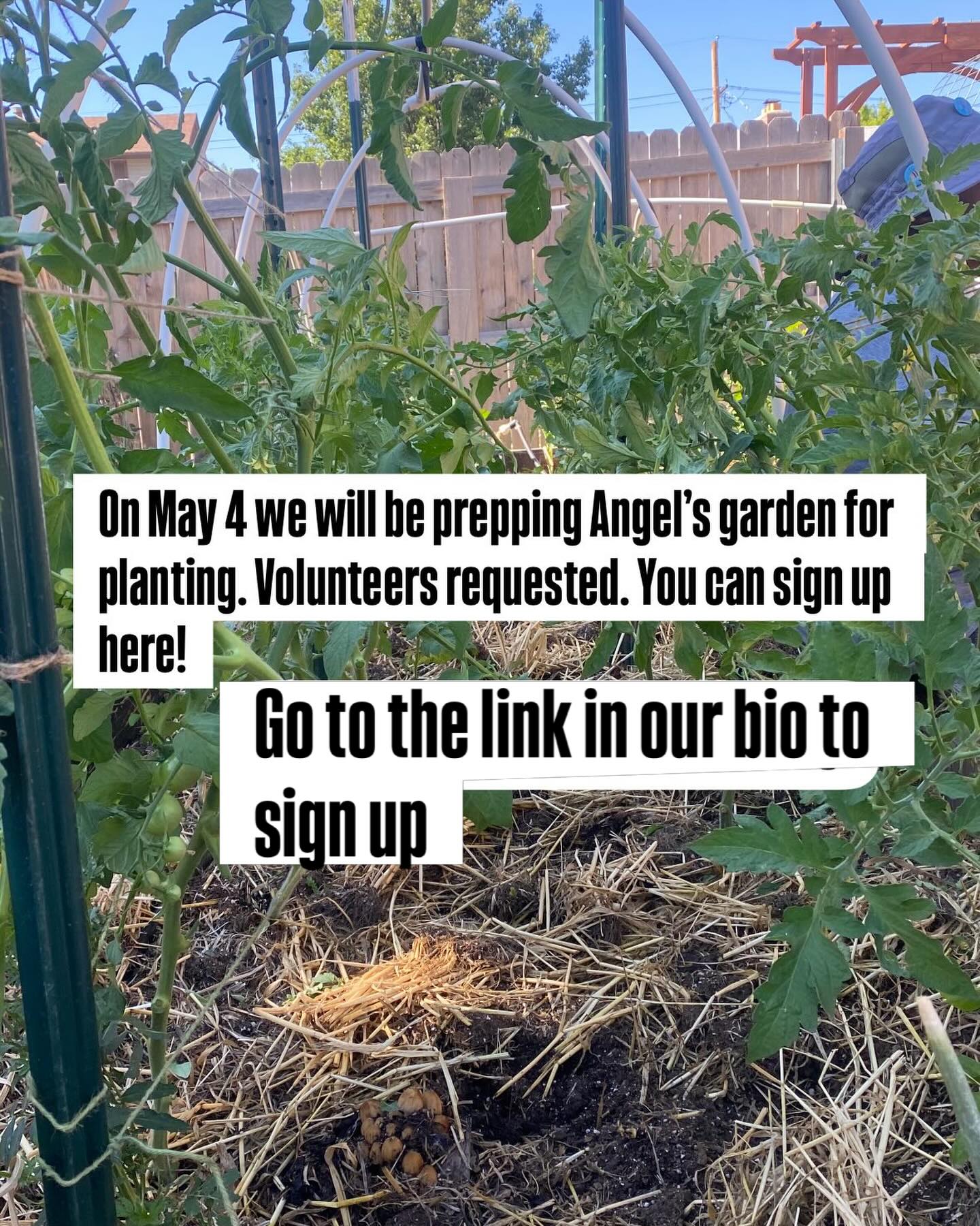 Come get your hands dirty and help prep this garden! We have just a few spots left. Sign up at the 🔗 in our bio.
May 4, 9-10:30am.
#urbangardening #community #wetendtogrow