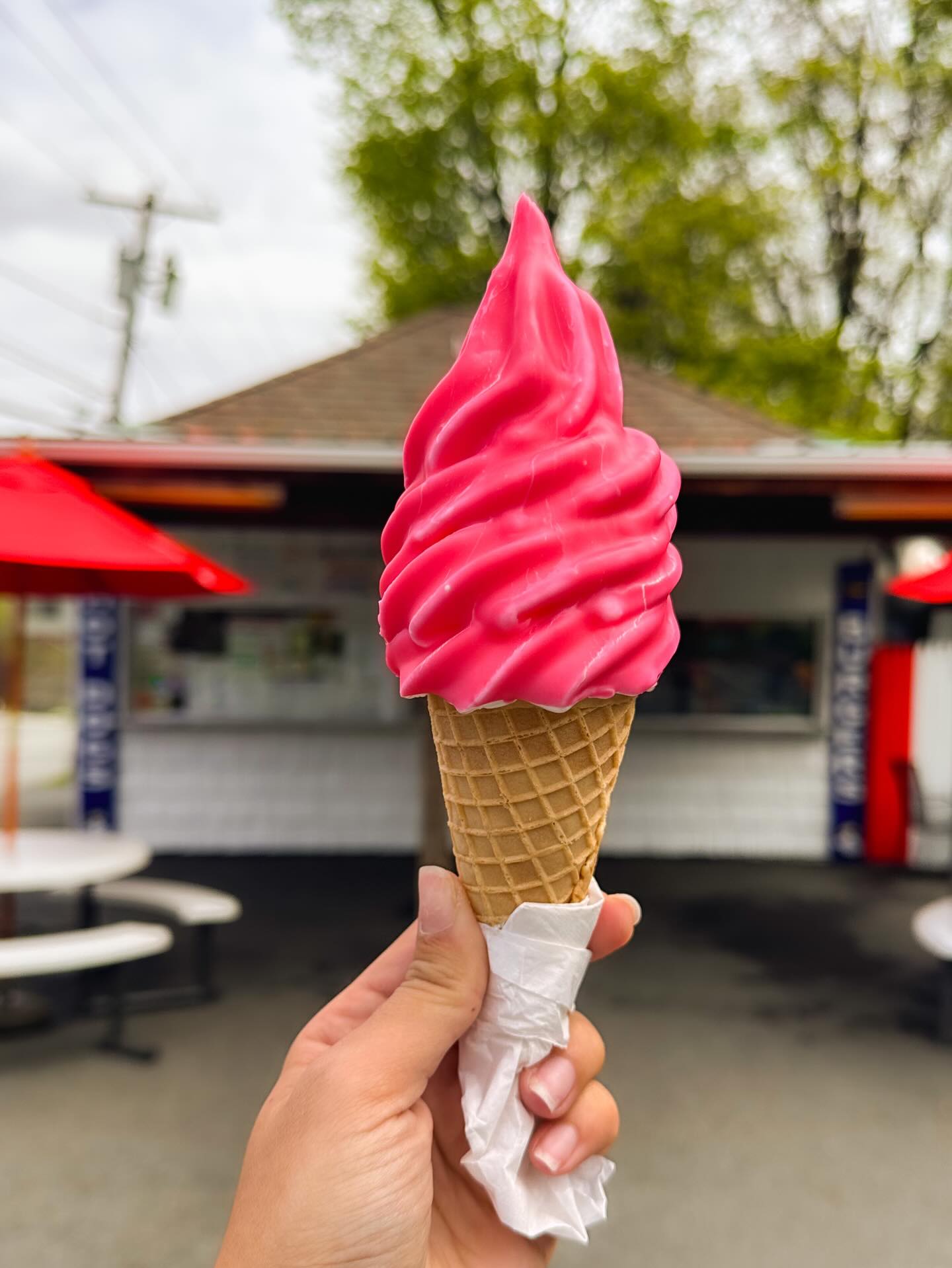 🍦Starting our season with Cotton Candy Dip🍬 (this one’s for you, you know who you are!) We still have our Chocolate and Cherry Dip, of course! Open until 9pm tonight for ice cream ONLY! Our grill will be open with the full menu by Tuesday!😋