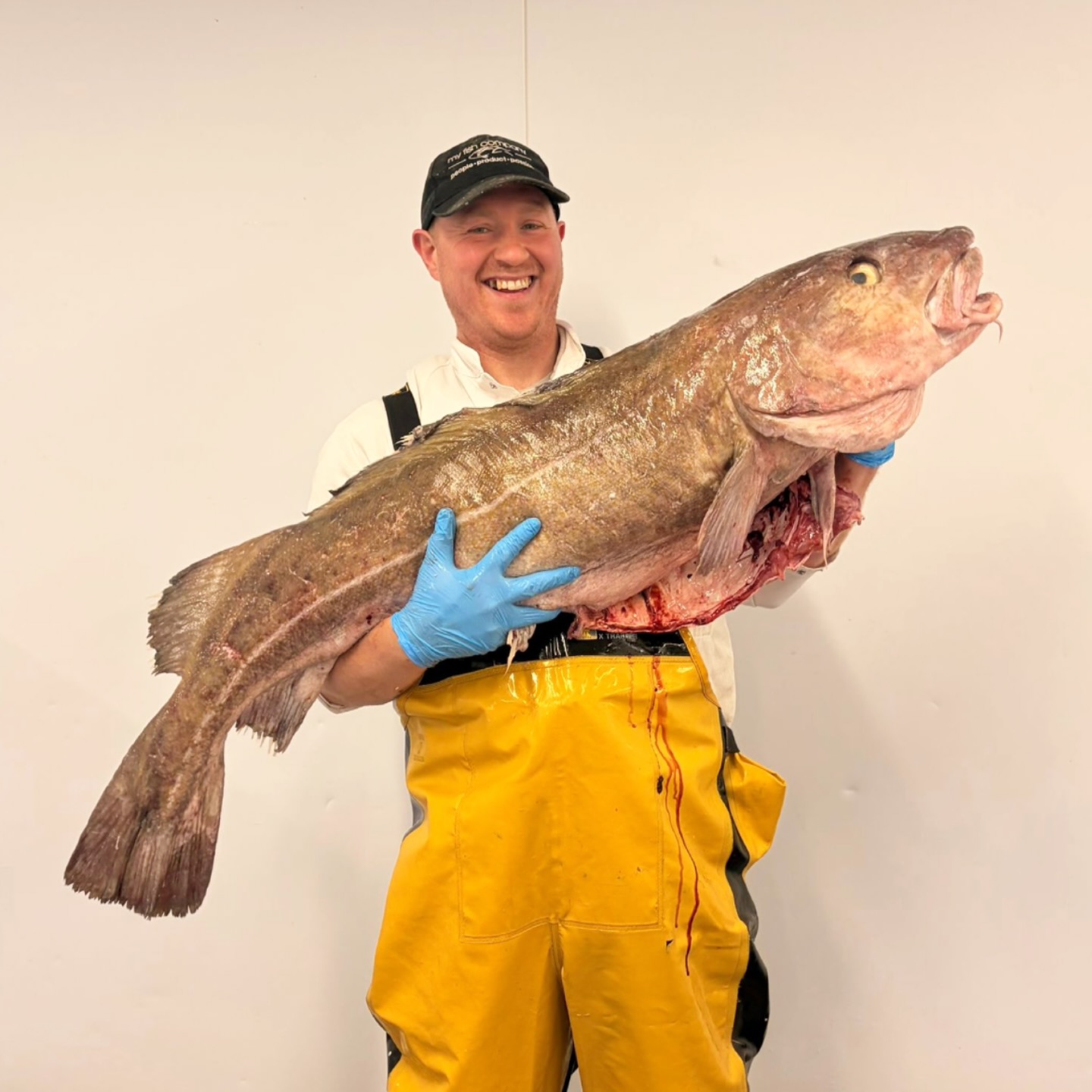 Holy Cod... Adam’s gone and done it again. 🎣
22kg of prime Atlantic cod has just landed in the prep room and the team are getting it prepped and ready for your pass.
When the quality is this high, you let the fish do the talking. Perfect for those looking to elevate their menu in advance of the upcoming long weekend.
We are stocking up now to make sure your kitchens are fully prepped for the bank holiday rush. Don’t settle for average when you can have world-class.
Please call the team and let us what you need to make your weekend the best success!
🚛 Delivering daily. Message us for the morning’s full list.
#freshcod #codfillets #fishmonger