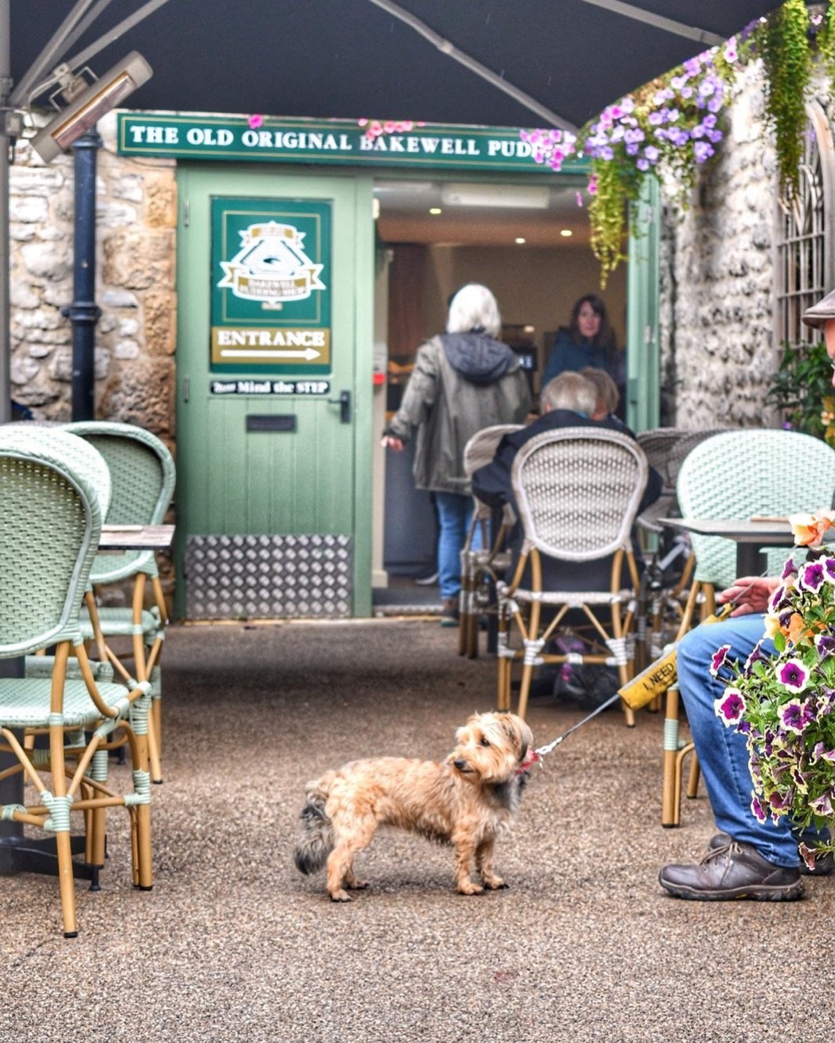 Bakewell Puddings might not be for dogs 🐾 But our courtyard definitely is!
On sunny days, don’t leave your pup at home, bring them along and relax with us in the courtyard ☀️ Fresh air, good vibes, and wagging tails welcome ☕️
Please note - no dogs are allowed inside our restaurant or gift shop. Access through the back on Water Street
#theoldoriginalbakewellpuddingshop #dogfriendlycafe #bakewellpudding