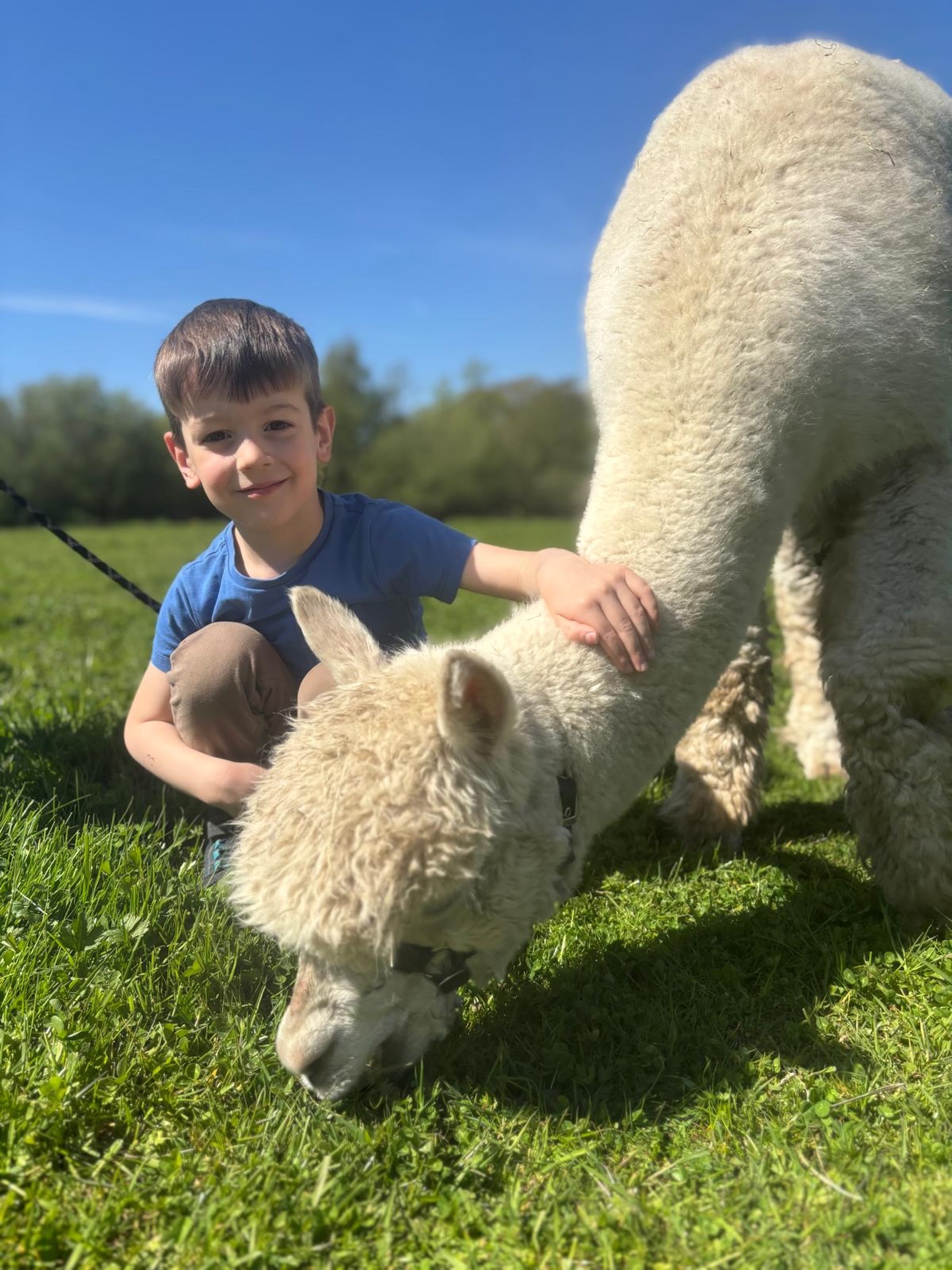 Blue Skies & Happy Hearts ๐ฆ๐ฟโ๏ธ
#alpacawalking #warringtonalpacawalking #pettingfarm #fundayscheshire #thingstodonorthwest
