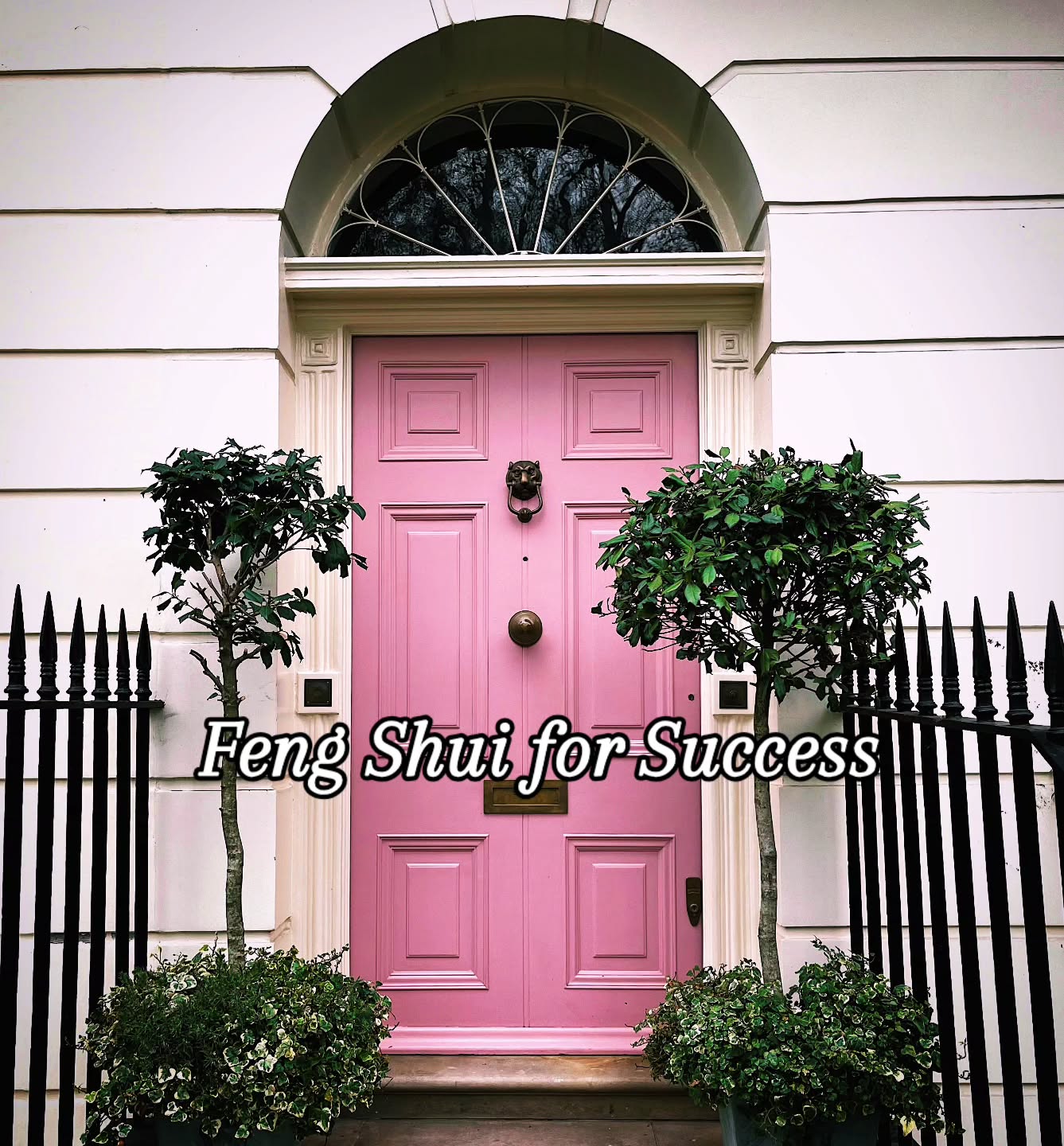 Success doesn’t always come from doing more sometimes it comes from creating space for it to arrive.
A simple piece of Feng Shui wisdom you can use today:
Clear your “path of entry”
Your front door is known as the mouth of Qi, it’s where good energy, opportunities, and abundance enter your life.
If this space is cluttered, blocked, or neglected, it subtly tells life: “I’m not ready to receive.”
So start here:
• Clear away shoes, bags, and anything piled up
• Wipe down the door and handles (add a little peppermint essential oil)
• Open it fully and let fresh air move through
• Add something intentional , a plant or flowers, a light, or something beautiful.
As you do it, hold a quiet intention: “I welcome in new opportunities, success, and aligned growth.”
It’s simple. Almost too simple. But energy responds to clarity.
Sometimes the shift you’re waiting for begins at your front door. #fengshui
#fengshuilifestyle
#relaxattheretreat #takecontrolofyourwellbeing #TCMWellness