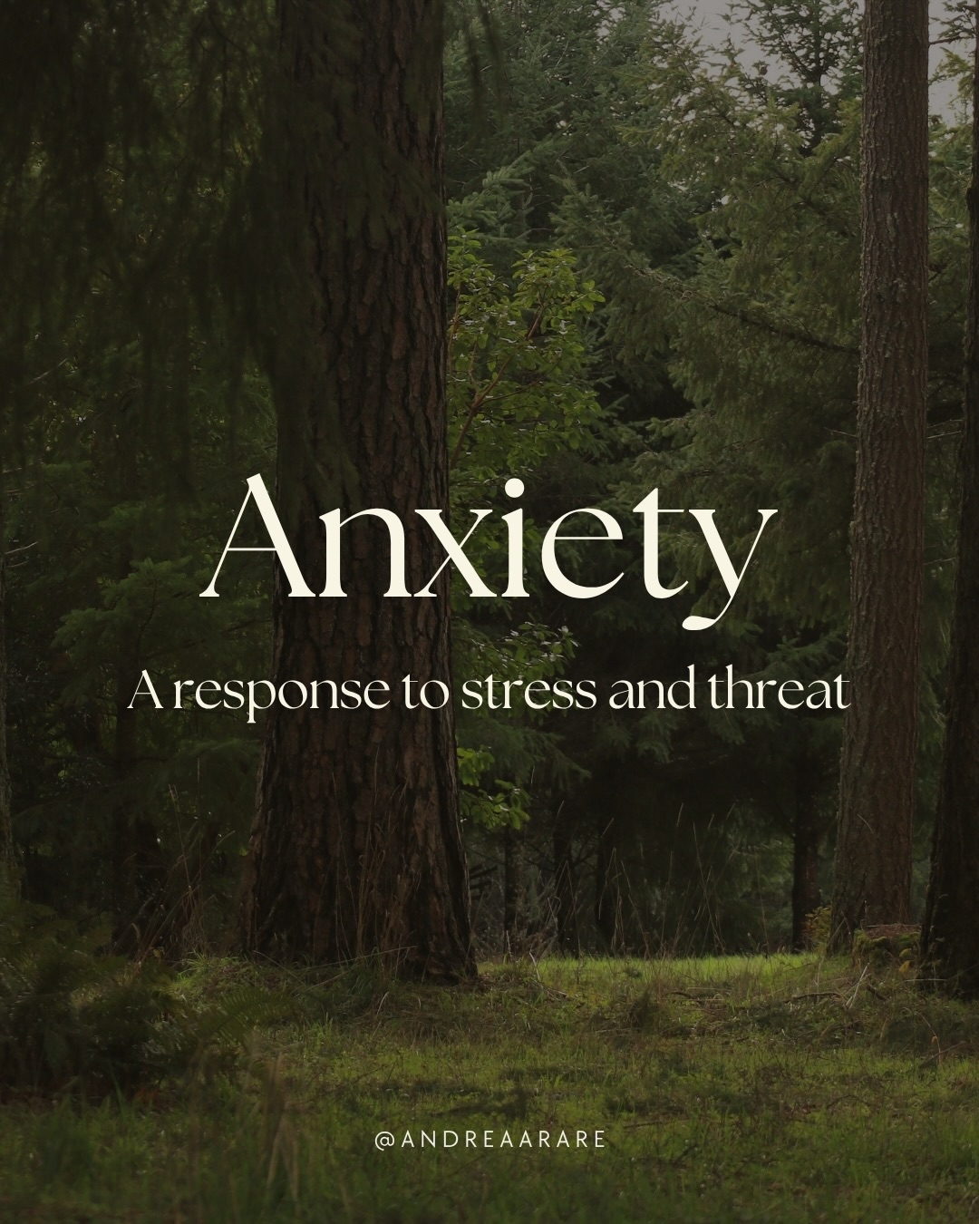 Anxiety is often treated as something to fix.
But beneath it, there is a system trying to protect you.
A body that has learned to stay alert.
To anticipate. To prepare.
because something once felt unsafe.
When we begin to understand anxiety through the lens of the nervous system, something changes. We move from fighting the experience to relating to it. From reacting to supporting the body back into regulation.
Swipe ➡️ to learn more 🌿
#nervoussystemhealing #somatichealing #anxiety