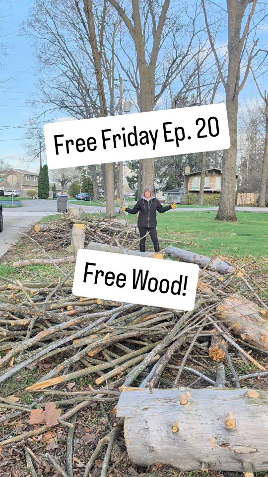 Score! We found some free logs in our neighborhood that will be perfect for making some raised garden beds. Stay tuned to see how they turn out!
Happy Free Friday, Friends!
#simplegroundedlife #homesteadlife #freefriday #gardening