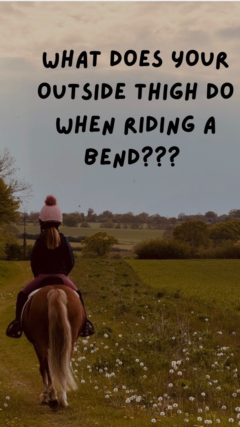 Continuing with the theme of how our bodies effect the horses balance on the bend here’s a little note on your outside thigh and how it helps support the horse when the horse is bending