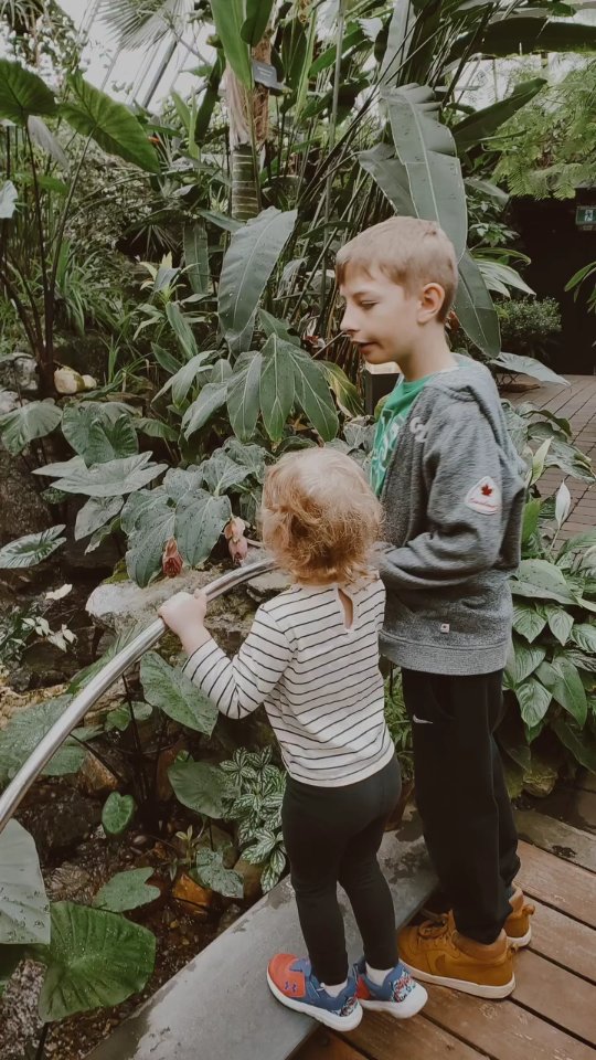 A little Sunday trip to the @muttartconservatory
It was lovely to get away from the snow for a minute & hang out with a bunch of lovely plants instead!
@thee_mcphee