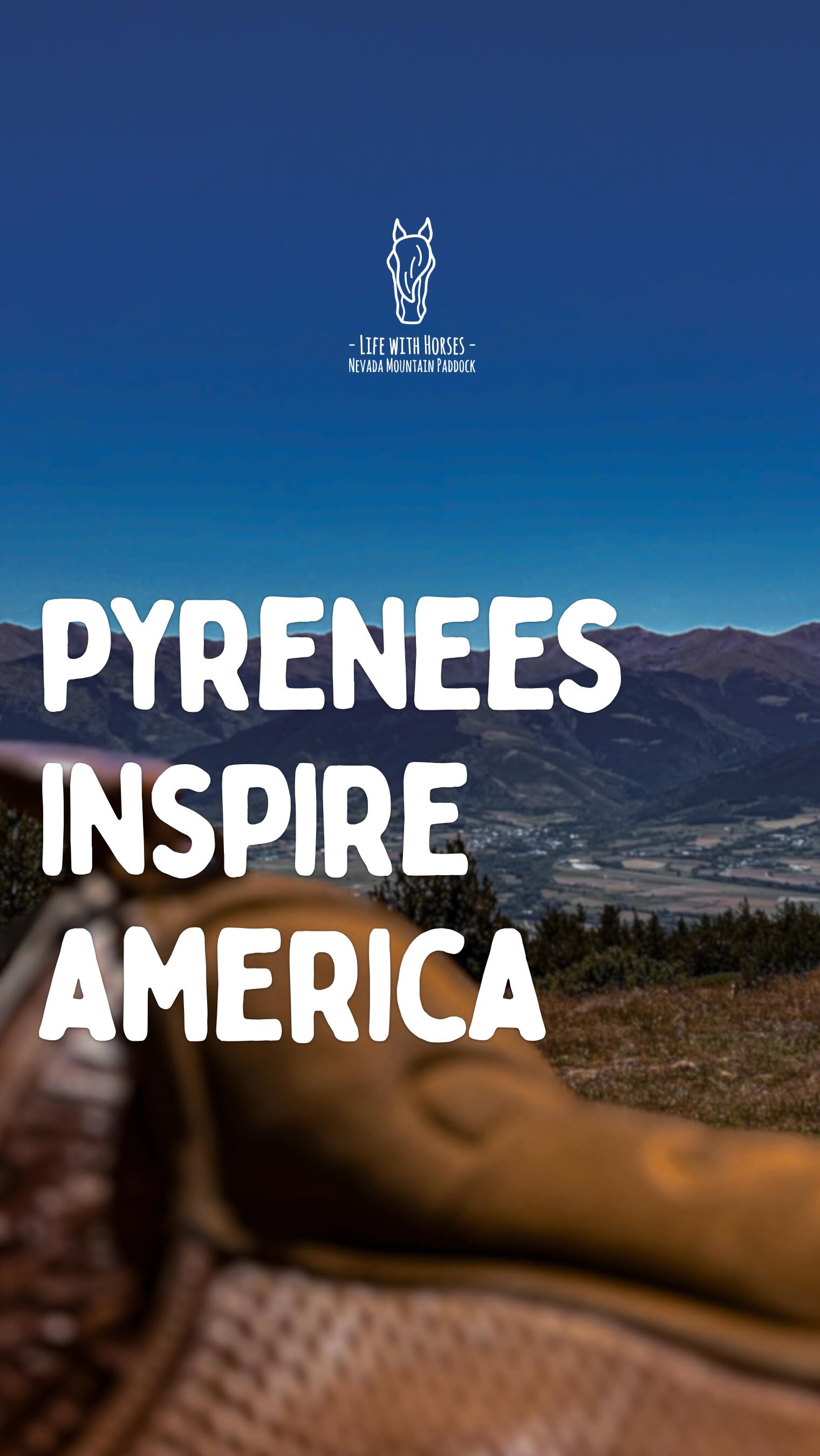 “Ça me rappelle un peu les Pyrénées.”
Extrait de US Marshals, saison 1 épisode 7.
Même les Américains le disent!
La Cerdagne, les Pyrénées,
Nous avons un territoire et un terrain de jeu incroyable pour vivre des expériences uniques…
Et à cheval, ça prend encore une autre dimension.
Dis nous avec qui tu veux venir vivre ton Voyage Immersif au coeur du Parc Naturel des Pyrénées Catalanes 👇
🇦🇩 “Em recorda una mica als Pirineus.”
Fragment de US Marshals, temporada 1 episodi 7.
Fins i tot els americans ho diuen!
La Cerdanya, els Pirineus…
tenim un territori i un veritable terreny de joc increïble per viure experiències úniques.
I a cavall, encara pren una altra dimensió.
Digues-nos amb qui voldries venir a viure el teu Viatge Immersiu
al cor del Parc Natural dels Pirineus Catalans 👇
🇬🇧 “It reminds me a bit of the Pyrenees.”
Clip from US Marshals, Season 1 Episode 7.
Even Americans are saying it!
Cerdanya, the Pyrenees…
we have an incredible place, a true playground to live unique experiences.
And on horseback, it takes on a whole new dimension.
Tell us who you’d love to share your Immersive Journey with,
in the heart of the Catalan Pyrenees Natural Park 👇
Thanks @taylor_sharidan !
@pyrenees.cerdagne
@pyreneesorientales_tourisme
@pnrpyreneescatalanes
#cerdanya #ridewithconnection #usmarshal #southoffrance #horselife