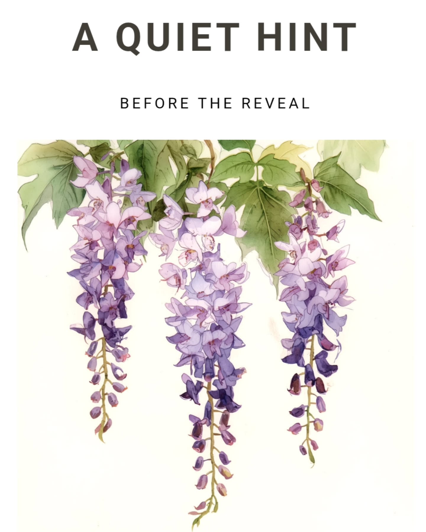 New Club dress is nearly here! We're thrilled to share a little sneak pick of the inspiration - a delicate wisteria bloom sketch that hints at what's coming your way in box # 6.
It's elegant, clever, and oh-so delightfully collectible.
Not a member yet? This is the perfect moment to step in and become part of our blossoming community.
https://www.gtgdollwear.com/pricing-plans/list
#gtGdollwear #integritytoysdolls #dollcollecting #wisteria #watercolours
