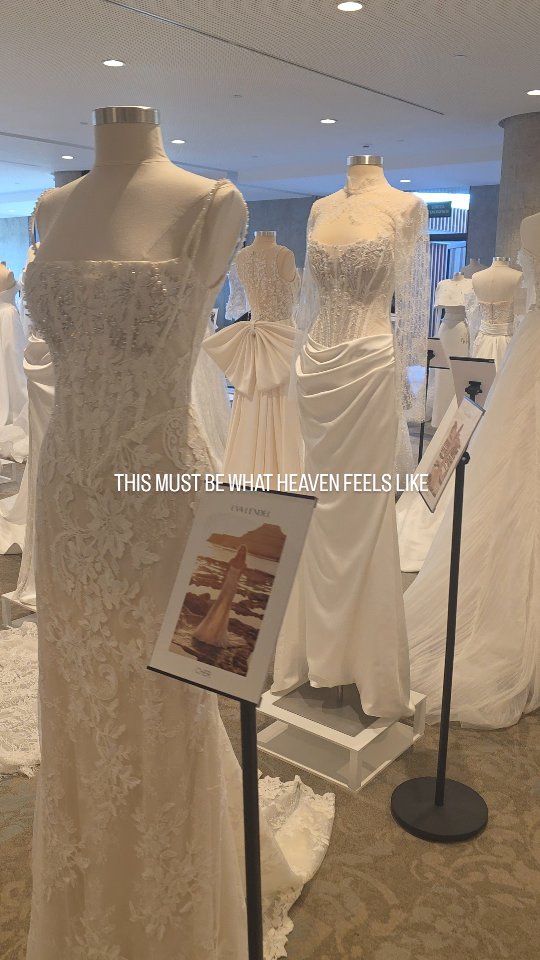 Welcome to bridal Heaven 🪽
@evalendel
#EvaLendel #NewBridalCollection #BBFW #ModernBridal #newbridalcollection