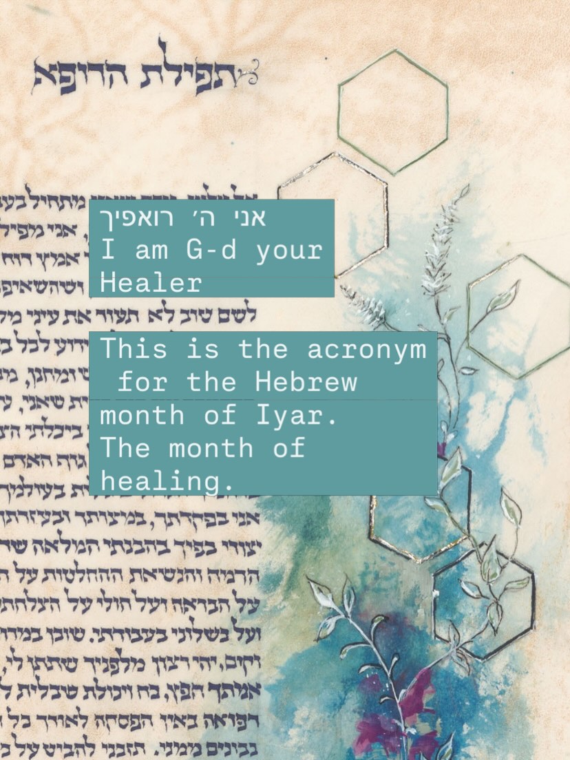 The Healer’s Prayer.
Widely attributed to be authored by the Rambam, Rabbi Moshe Ben Maimon, (1138-1204) though we don’t know for certain, it is a beautiful, humbling and compassionate prayer, for the healer or physician, that G-d grants them the ability, the knowledge and the awareness to always know and recognize the ultimate source of healing, so that they can be a worthy conduit for healing for others.
Decorated with plants and flowers known for their healing qualities, including AloeVera, Basil, Bluebellvine, Lemongrass & Buchu, this piece is painted in the healing colours of sage green, turquoise and aqua blues.
May this month bring you much healing, physical, emotional or spiritual, and may we merit to see G-d’s healing hand in every part of our life!