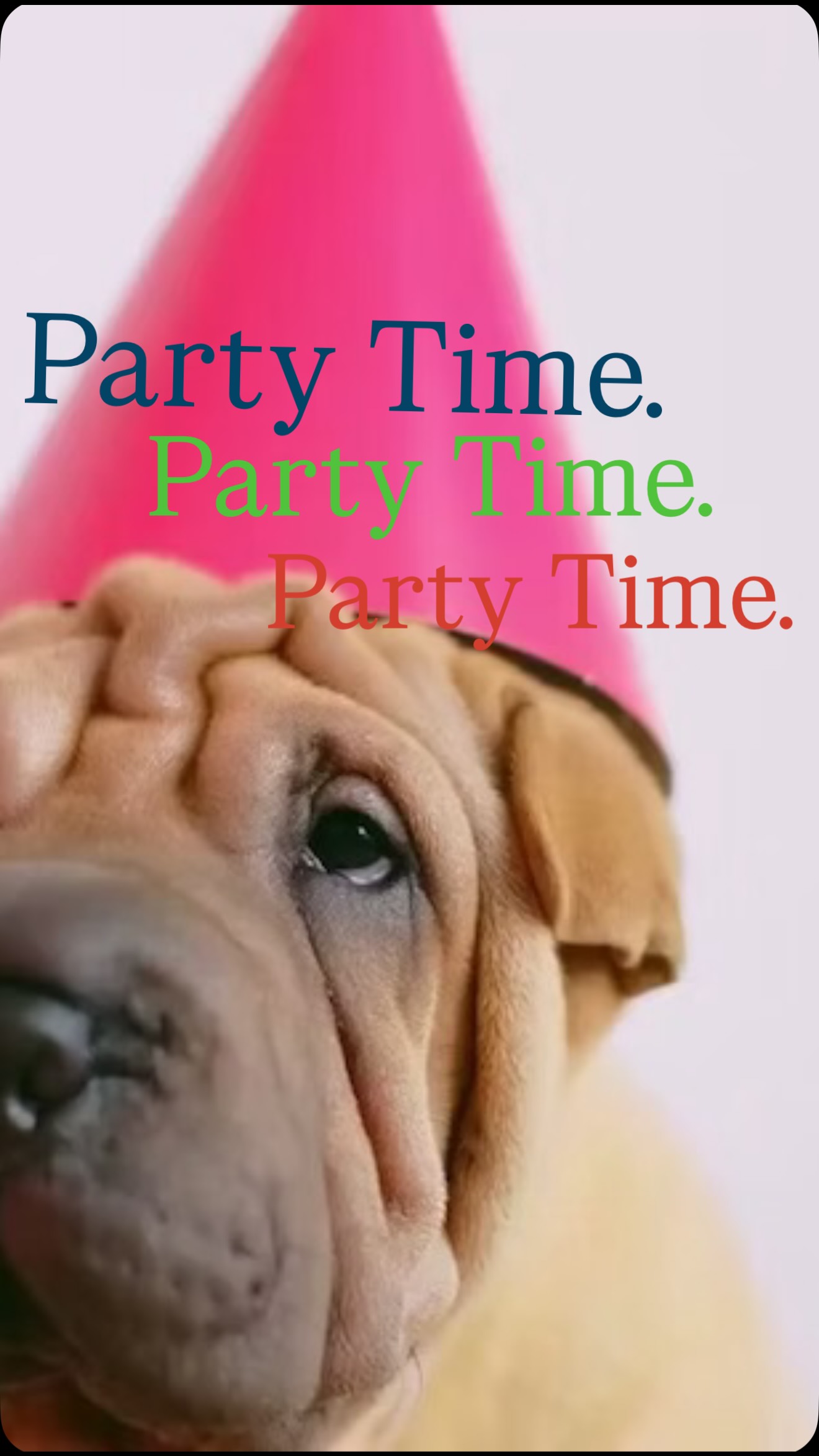 The moment you’ve been waiting for… our party packages are officially live. 🎉
From birthday bashes to gotcha day celebrations, we’ve created three curated packages (with plenty of room to customize) to make your pup’s special day unforgettable.
Spots are now open starting in June—let’s plan something worth barking about. 🐾✨