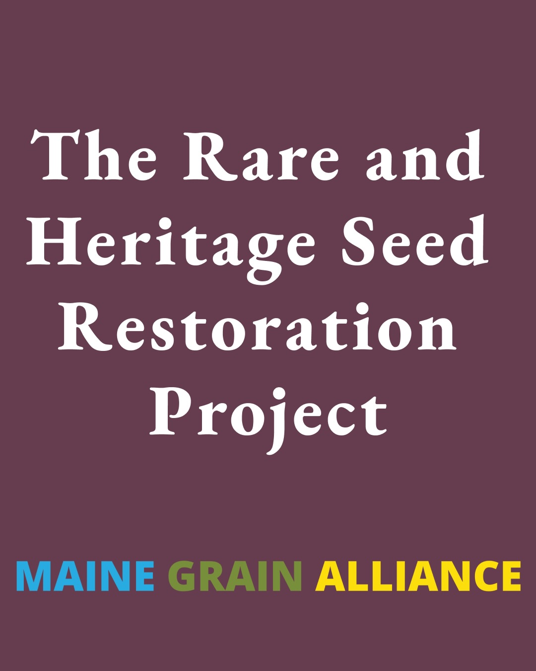 The @mainegrainalliance Seed Restoration Program is focused on restoring rare and heritage variety grains by turning handfuls of carefully kept seed into commercially viable quantities for farms.
The project is building a supportive network of farmers that can learn from each other, share resources and share equipment. It is also focused on engaging bakers in the development of marketable products using restored seed.
Thank you @mainegrainalliance for stewarding this important work.
An additional thank you to the Maine Department of Agriculture Conservation & Forestry (@mainedacf) and Maine Grains @mainegrains as well Gideon Asen, @artisangraincollab @fceast and @tandemcoffeeroasters
And of course, a big thank you to our additional partners:
University of Maine Cooperative Extension
Land Trust 45 Farm, Bingham
Groundswell Seed Farm, Solon
Songbird Farm, Starks
Grange Corner Farm, Lincolnville
Maine Wood Heat, Skowhegan
Blue Ribbon Farm, Mercer
Richard Searls, Solon
Jeremy Gibson, Solon
Somerset Woods Trustees
Taylor Field. Skowhegan
Buck Farms, Mapleton
Ben Hoffman, Bradford
Gromaine Farm, Woodland
Aurora Mills and Farm
Dale Inman, Freeport
Hilton Farms, Starks
Rusted Rooster Farm
.
.
.
#NOFA #maine #grain #farming #regenerativefarming