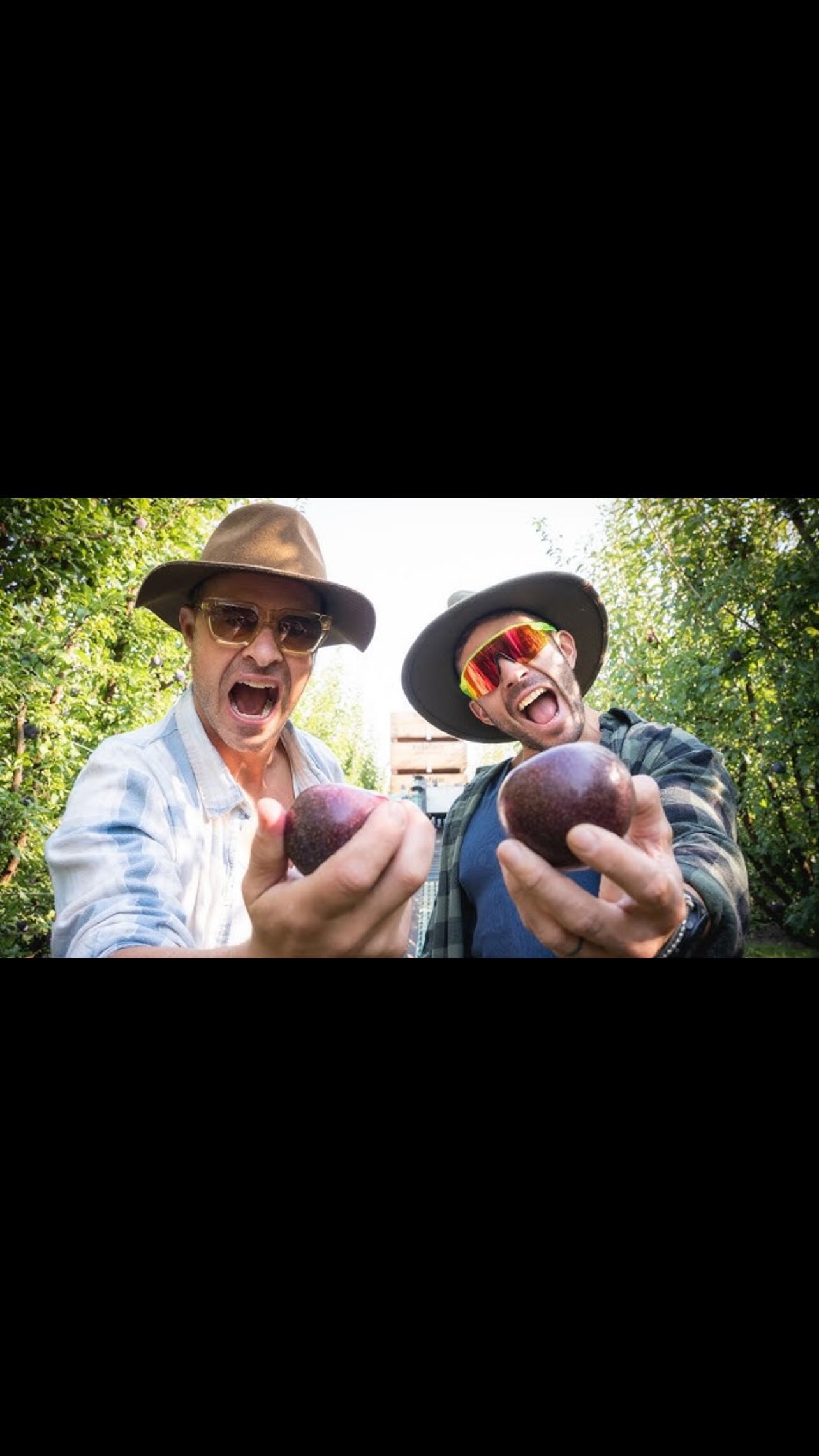 AZZA & ZOC DO EARTH🌏 check out the full episode and the series on YouTube! thank you again to the guys and their amazing team for coming to the farm and learning about the Queen Garnet plum🌳
#farm #plum #antioxidant #aussiefarmers #orchard