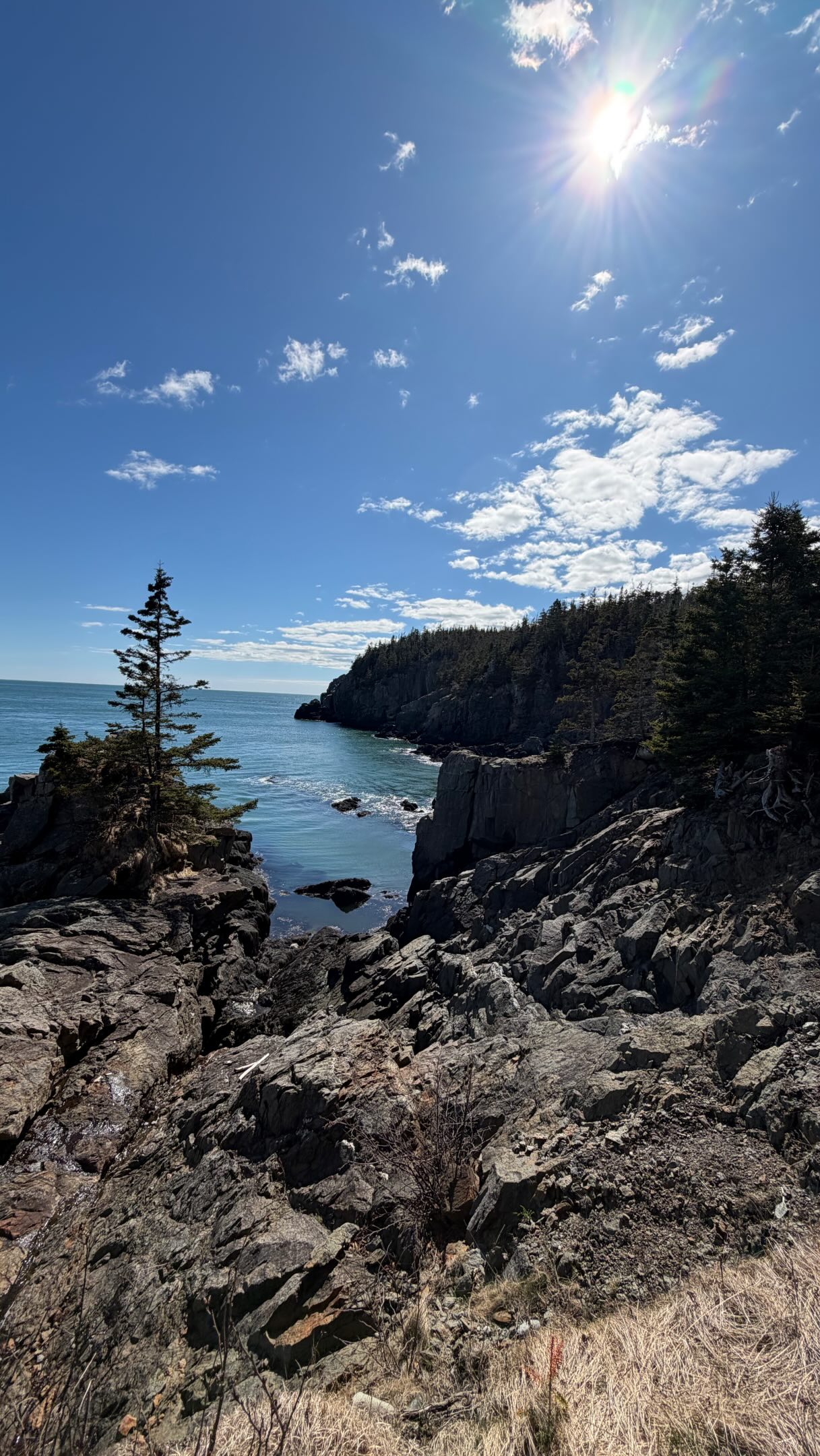 Welcome to some of the Bold Coast of Maine.
📍 Gullivers Hole, Quoddy Head State Park, Lubec Maine
#maine #bold #coast #lubec #statepark