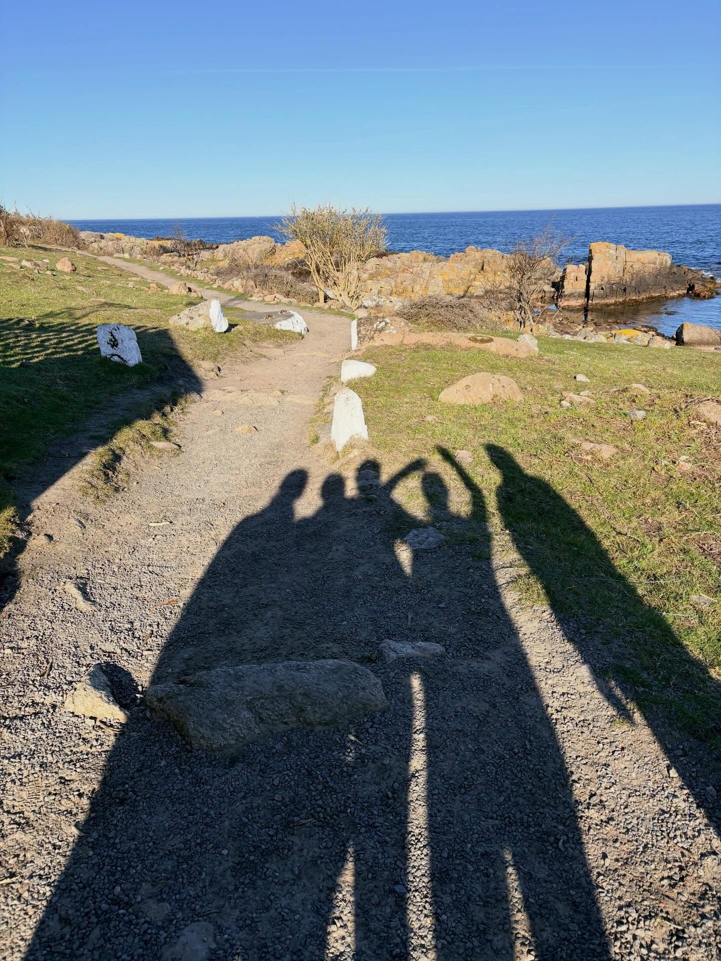 Morgenløberne på Hartvig & Engell retreat. Vi er en lille flok der lunter til fyret. God start på dagen inden morgenkål. @pensionsandbogaard