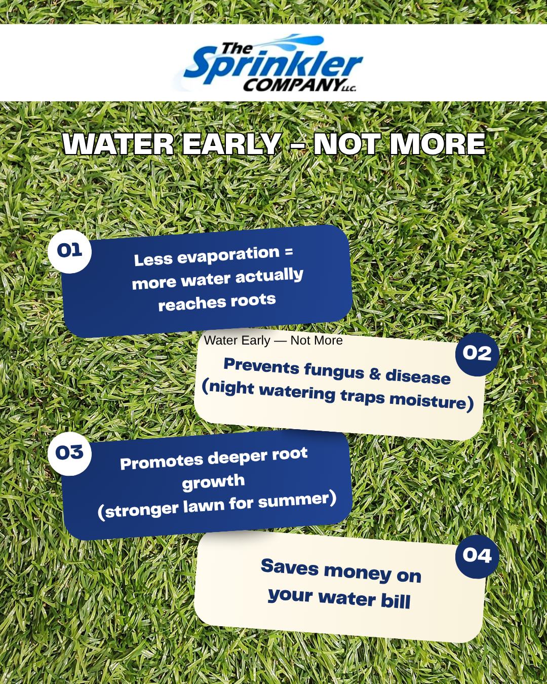 💧 Spring Lawn Tip: Water Smarter, Not More
Before you turn your sprinklers on full blast this season…
👉 Water your lawn early in the morning (before 9 AM)
A properly timed system makes all the difference.
thesprinklerco.com
856-931-0041
#LawnCareTips #SpringLawnCare #WaterSmart #TheSprinklerCompany