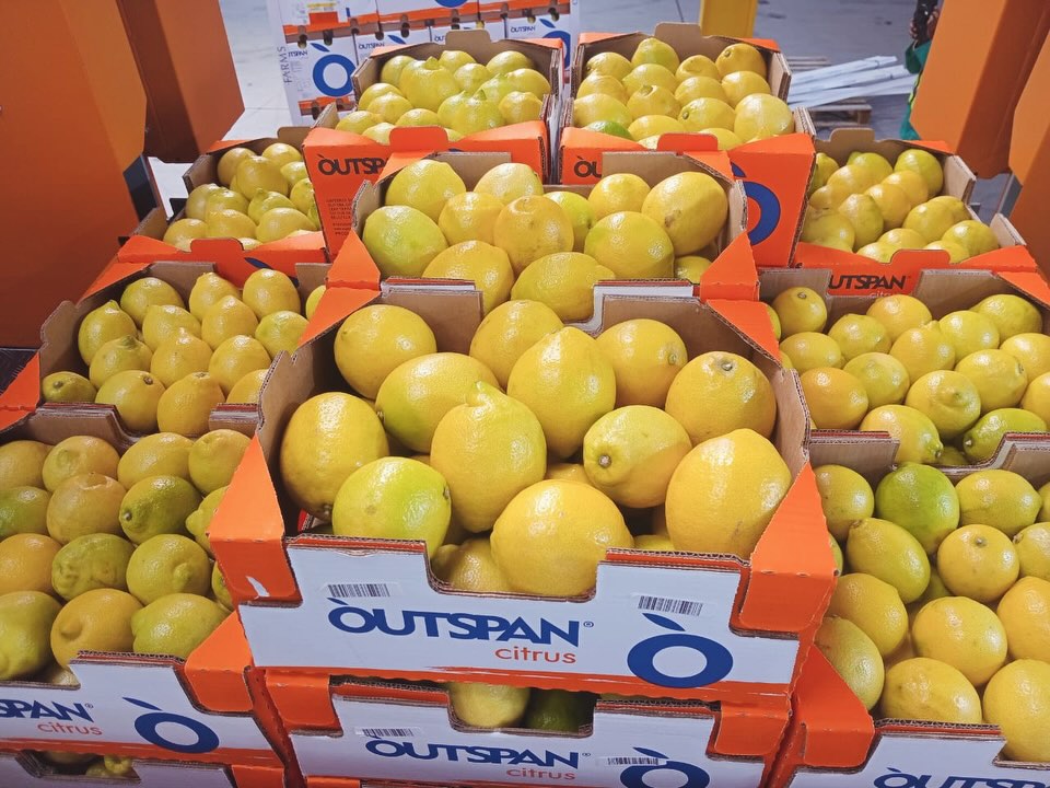 Citrus season is officially in full swing, Mzansi! 🇿🇦
When life gives you citrus, we stack it high and turn it into the zest day ever – from South African orchards to your table. 🍋
#citrusseason #citrus #lemons #freshfruit #farmfresh