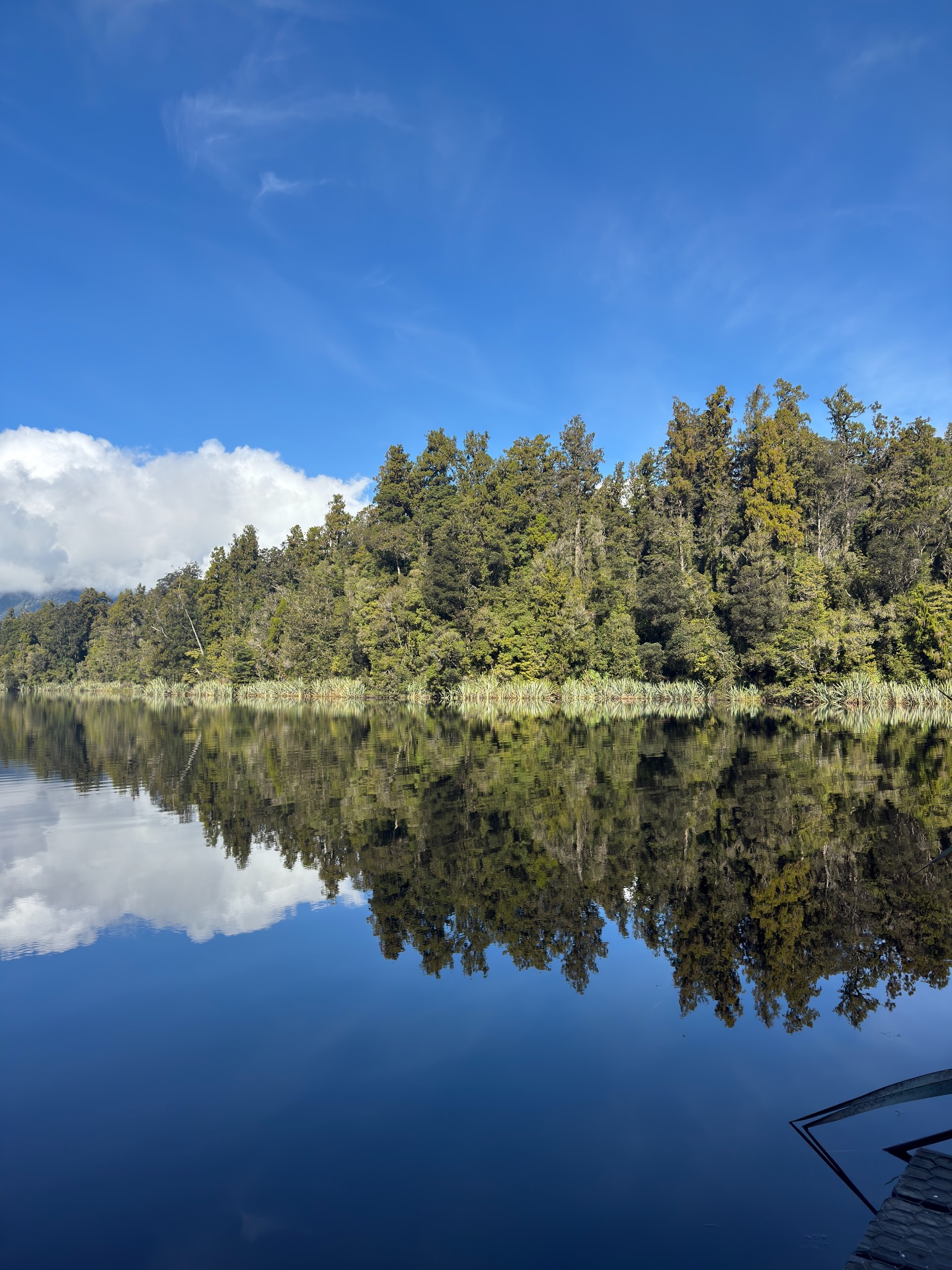 Entre le reflet des arbres dans le lac Matheson, un arc-en-ciel au détour de la route, et les paysages de Franz Josef Glacier et Fox Glacier… la côte ouest néo-zélandaise en met plein les yeux 🌈
#lakematheson #franzjosef #nouvellezelande #landscape