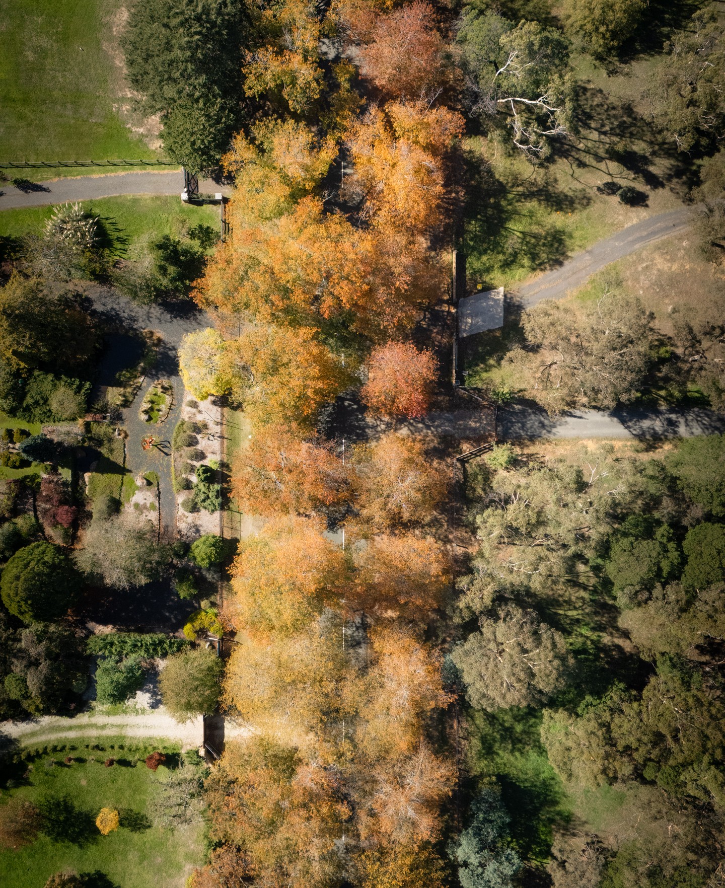 Honour Avenue, Macedon. Autumn doing its thing.
Drone photography in the Macedon Ranges has a way of putting the season into perspective. Colour like this is why KGMG Creative keeps a camera in the air as much as on the ground.
#MacedonRanges #HonourAvenue #DronePhotography #AutumnInVictoria #MacedonRanges