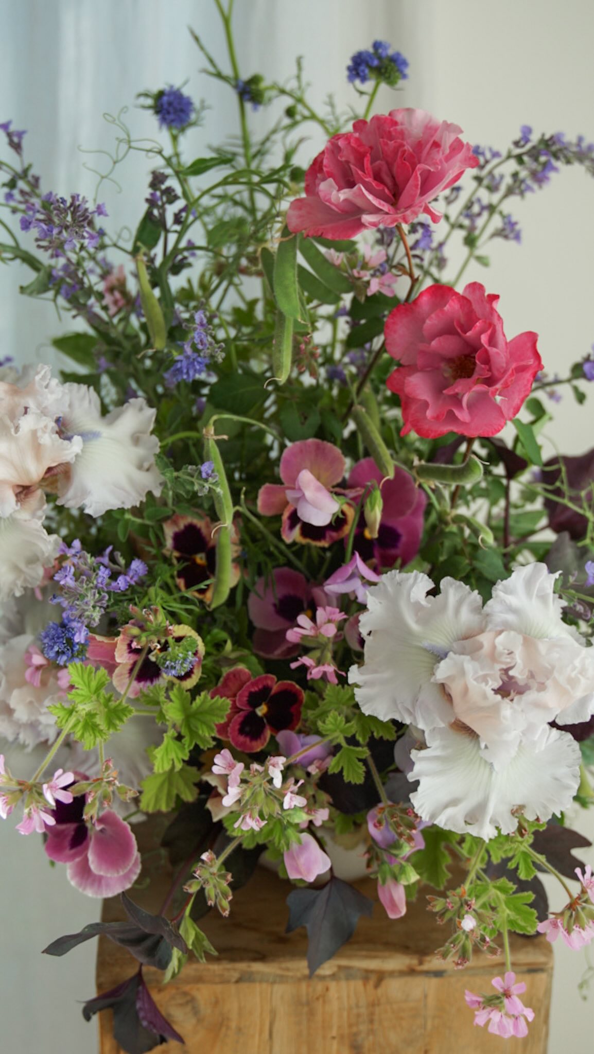 Gardener’s bunch 🌸🌱 A little bit of this & that picked last afternoon for an exercise on working with what’s on hand. The bearded irises sprouted from my first batch of @schreinersgardens rhizomes. They are my absolute favorite flower & nothing compares to their feminine frills & the way in which they burst dramatically. Love love 💕