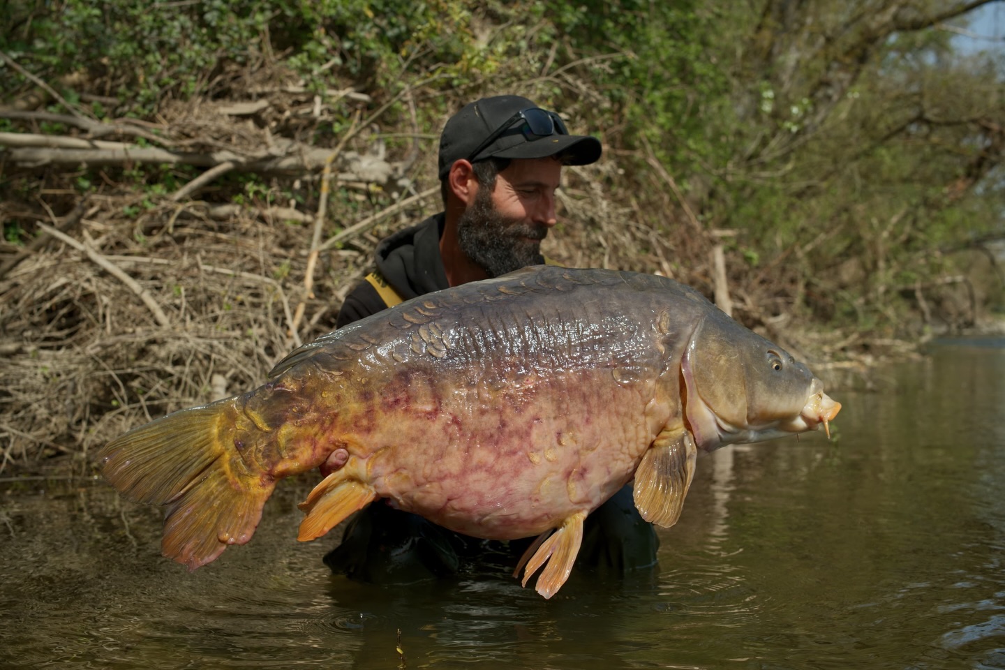 Malgré nos emplois du temps de ministres, on arrive quand même à attraper quelques carpes en ce beau printemps 😁
.
#carpfishing #carpangler #brakass #carplife #angler