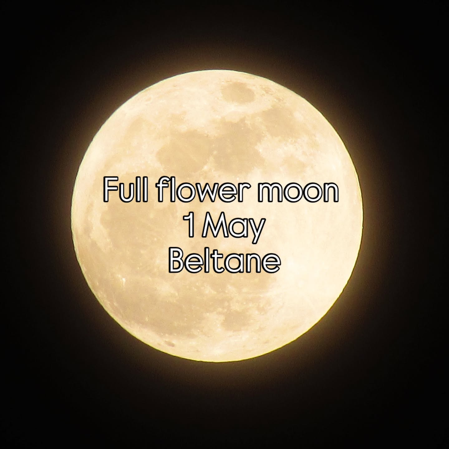 Full Moon May 1
This full moon coincides with the festival of Beltane, a seasonal turning point that marks the transition into the most active, outward phase of the year.
In nature, everything is moving towards growth and expression, longer days, rising warmth, increased vitality. The body often mirrors this, with energy naturally shifting outward after the slower winter months.
A full moon represents a peak in the lunar cycle. It brings illumination, making it easier to see what has been building physically, emotionally, and mentally.
This May also holds a rare rhythm: two full moons, with a new moon in between. It creates a natural process of awareness (this full moon)
reset (the new moon)
integration and completion (the second full moon)
At this time, you might notice clearer awareness around what is and isn’t working for you, heightened energy or restlessness and a pull towards action, connection, or creativity
Beltane adds another layer, traditionally associated with fertility, momentum, and life force. Together, this creates a moment that supports recognising growth that’s already happening
releasing what feels complete or misaligned
consciously directing your energy into what you want to build next
This doesn’t need to be dramatic.
It can be as simple as pausing, taking stock, and making small, intentional adjustments.
Seasonally, this is a time to step forward , not forcefully, but with awareness and intention.
#fullmoon
#takecontrolofyourwellbeing
#wellbeing #wellnessthatworks #wellbeingworkshops