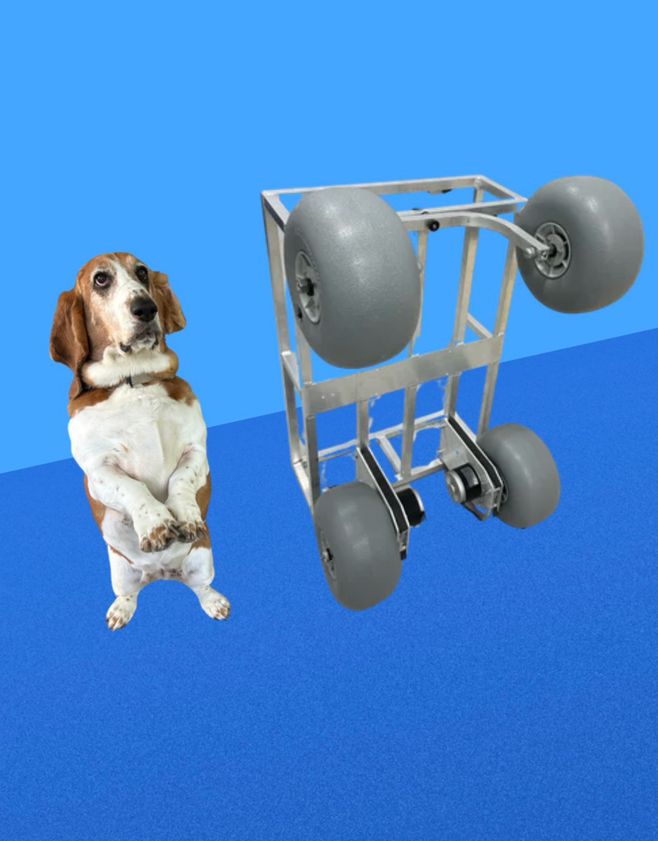 The Beach Mule has some new tricks for 2026. Stay tuned to see what’s next for the only genuine motorized beach cart on the market. Lightweight, electric, true fishing cart style, made for a beach environment, engineered and built in the USA, direct from manufacture, most affordable on the market, only 4WD cart in the world. Coming 2026, the end all model is arriving. This model will be THE ONLY beach hauling solution to purchase in 2026 and beyond… Good things are worth the wait.