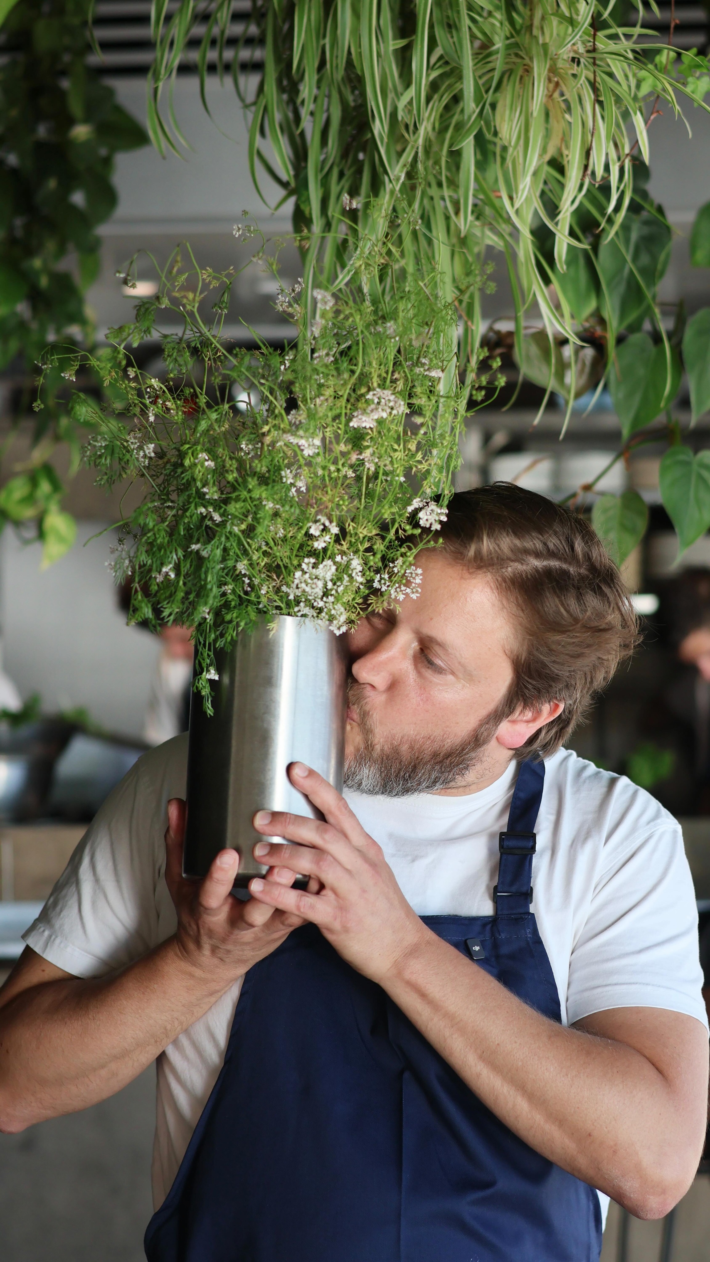 חובבי כוסברה, הסרטון הזה בשבילכם!