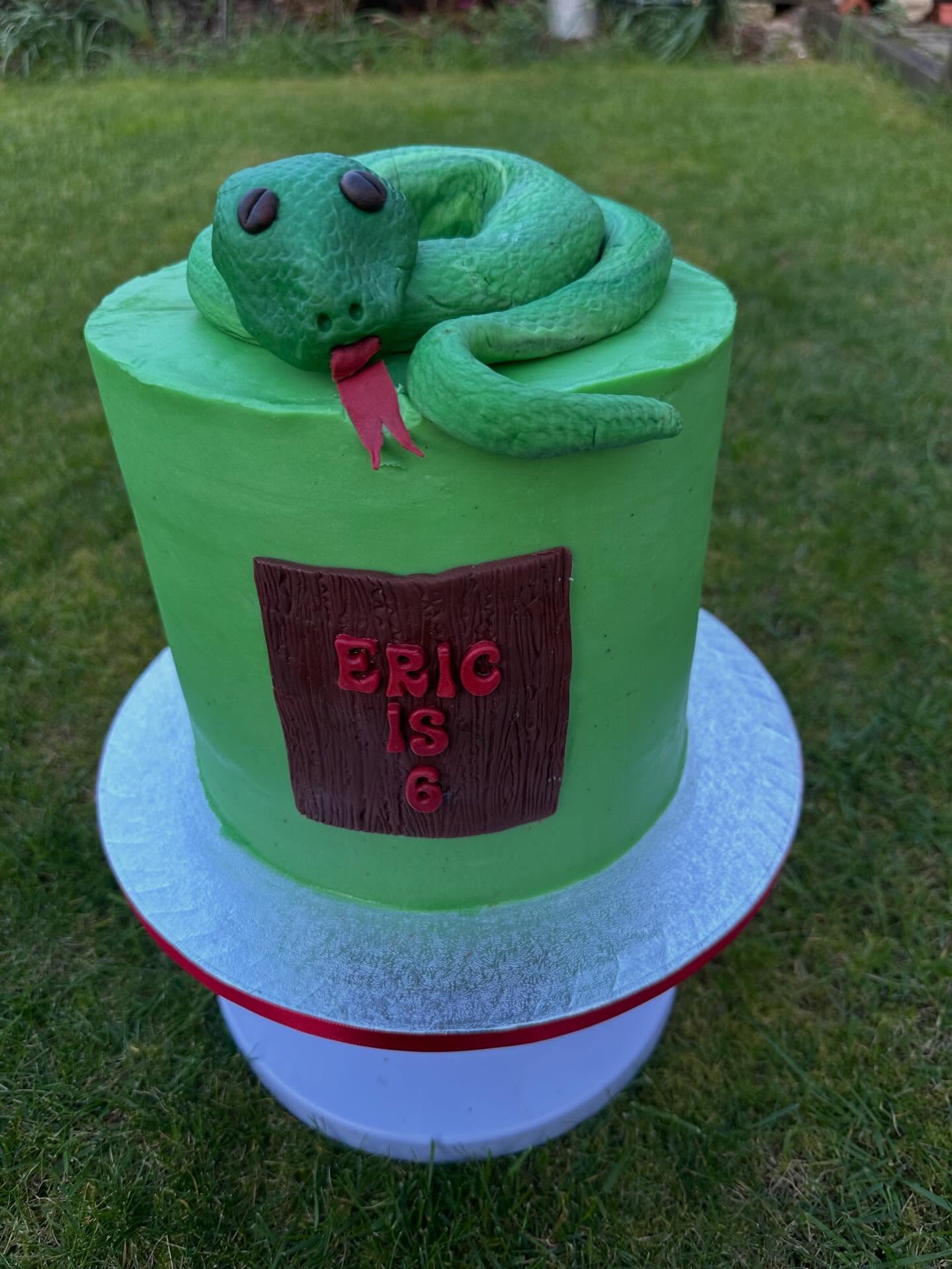 Snake cake for a brave boy who I’ve enjoyed making designs for since his second birthday, I feel honored to contribute to his birthday party each year #snakecake #happybirthday #birthdaycake #bespokecakes