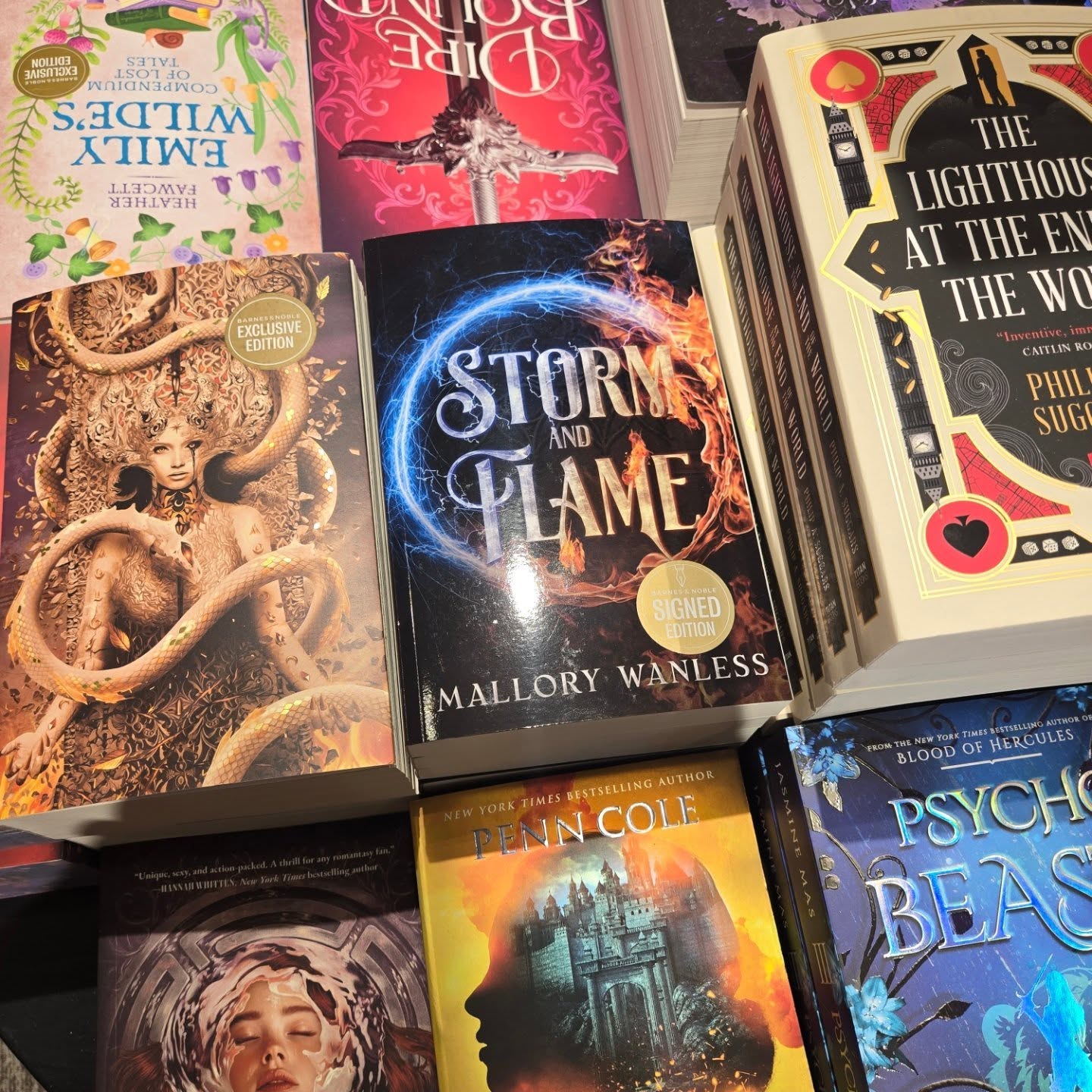 Not gonna lie, seeing my book on this table at Barnes and Noble, surrounded by these AMAZING authors, is a mind-blowing achievement I literally never even dreamed of.
I mean, look at her. LOOK AT HER. She's a damn badass just chilling with NYT best sellers like it's no big deal. ๐ฌ๐คฏ๐ซ ๐ญ
โก๏ธ๐ฅ
If you like stories with:
Found family
Snarky sidekicks
Young adult fantasy
Completed trilogy
Healing from trauma
Opposites attract
Questing through the woods
STORM AND FLAME and the Enchanted trilogy is for you!