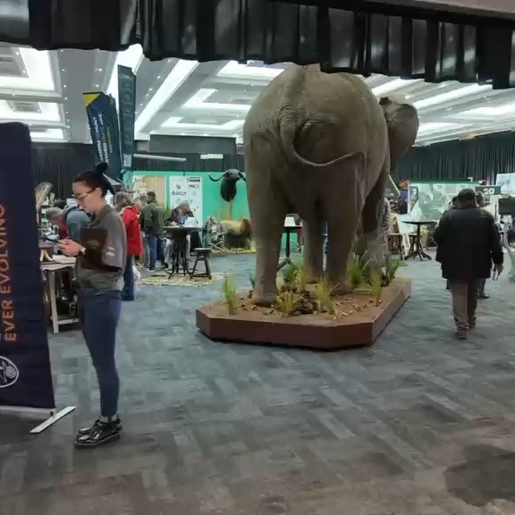 There’s an elephant in the room…
And at @huntexnow , we’re not avoiding it.
Join WRSA and @sustainableusecoalition -SA for a critical conversation on conservation — the real challenges, the tough questions, and the future of sustainable use.
Be part of the discussion that matters.
#HuntEx #Conservation #SustainableUse #JoinTheConversation