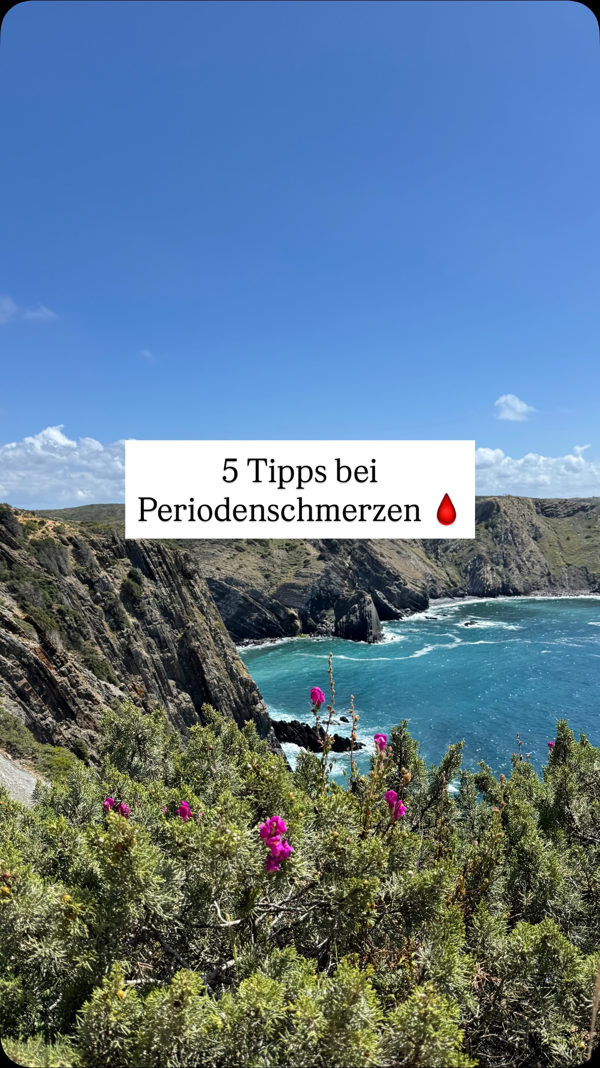 Welchen Tipp setzt du als nächstes um?🌸
Wenn du dir persönliche Unterstützung wünscht, dann melde dich bei mir und gemeinsam schauen wir, wie ich dich am besten unterstützen kann.
Nächste Woche beginnt auch unser Hormone Harmony Gruppen Mentoring - vielleicht ist das, was du gerade brauchst 🩷🦋
#frauengesundheit #hormoncoaching #periodenschmerzen #menstruationsbeschwerden