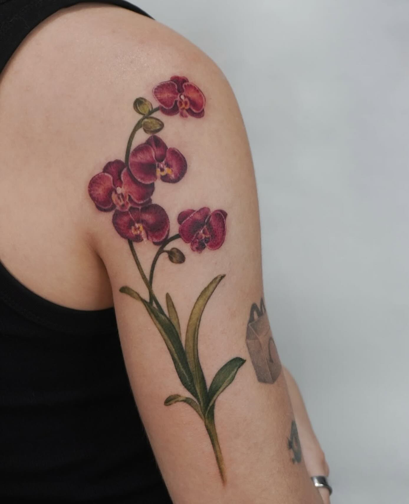 Limited spots ! 20-26 May
Dm @roberta.tattooartist to book
#limitedoffer #tattoocopenhagen #guestartist #københavntatovør #farvetatovering