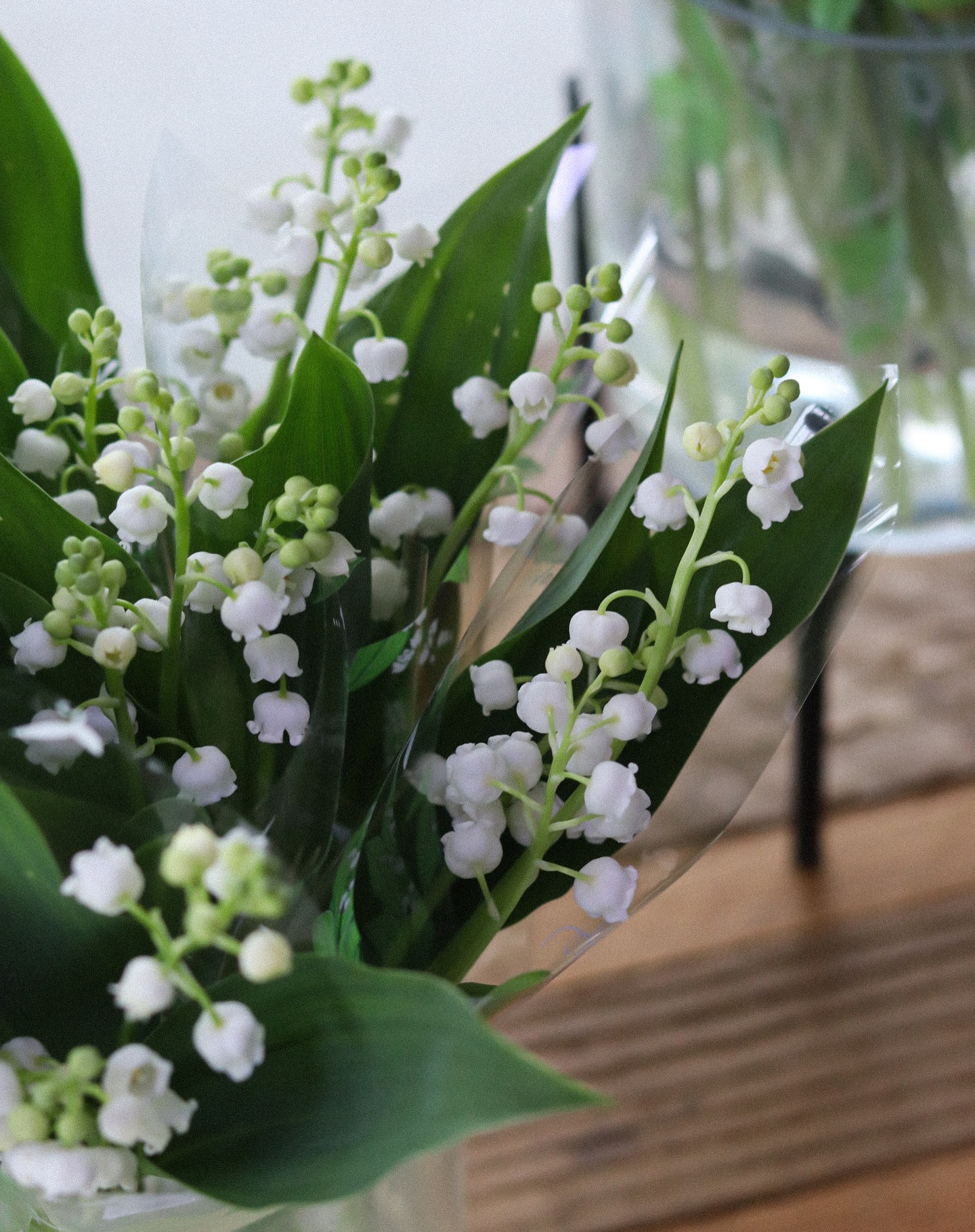 Le muguet* fait son retour cette semaine dans nos serres Mendi Ă Anglet đ±đ€
Il est Ă retrouver dans notre boutique de fleurs coupĂ©es, Ă lâentrĂ©e des serres sur votre gauche.
Nous sommes ouverts ce vendredi 1er mai de 9h00 Ă 12h30 đż
*Muguet local de la ferme Lamothe à Abos, dans le béarn. Variétés : Nantais et Berlin
đȘŽ Le jardin de tous
âïž 05 59 03 73 52
đ15 rue de Louillot, Anglet
